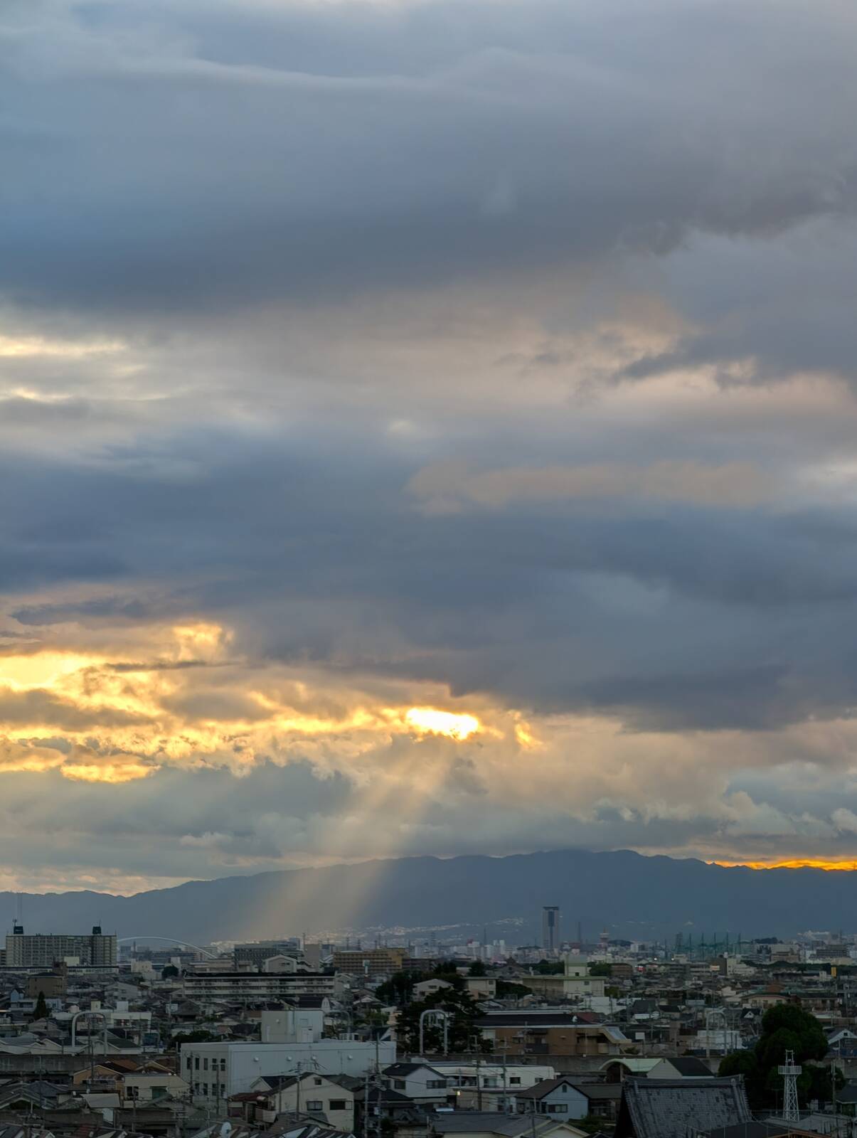 夕日の光