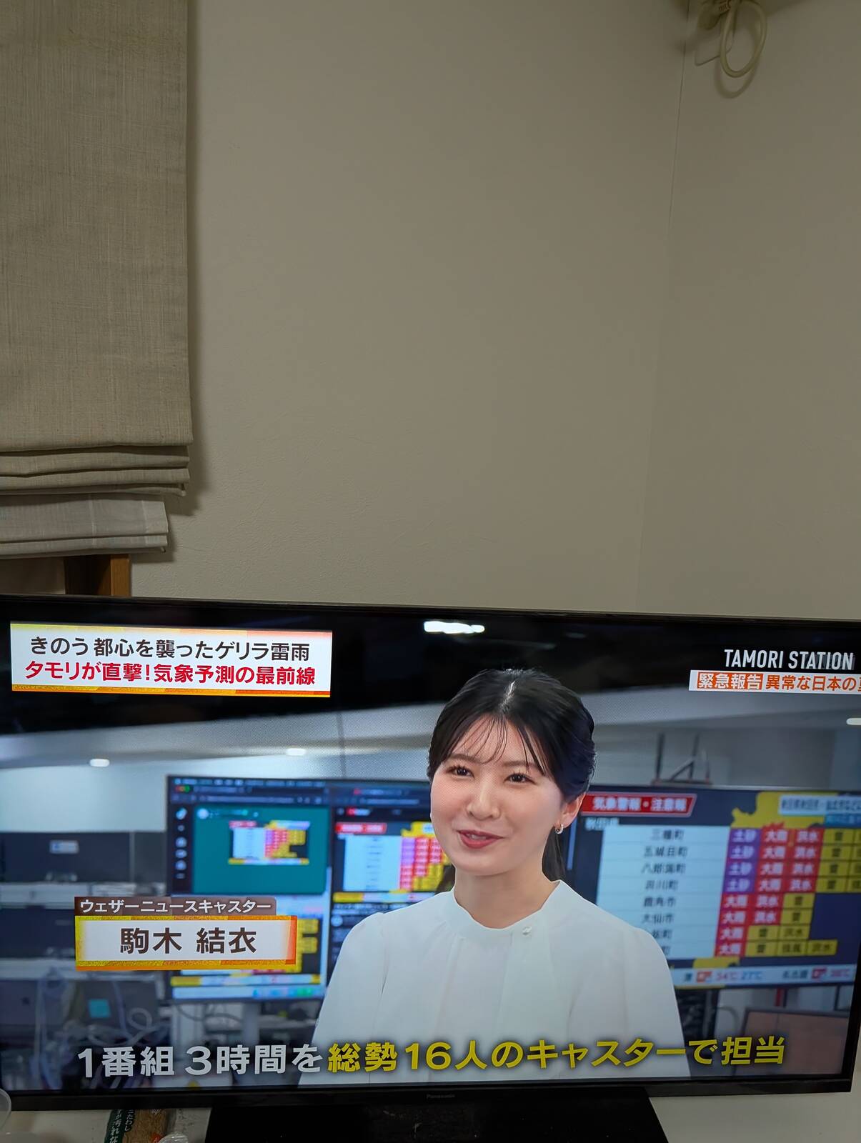 避暑旅の人