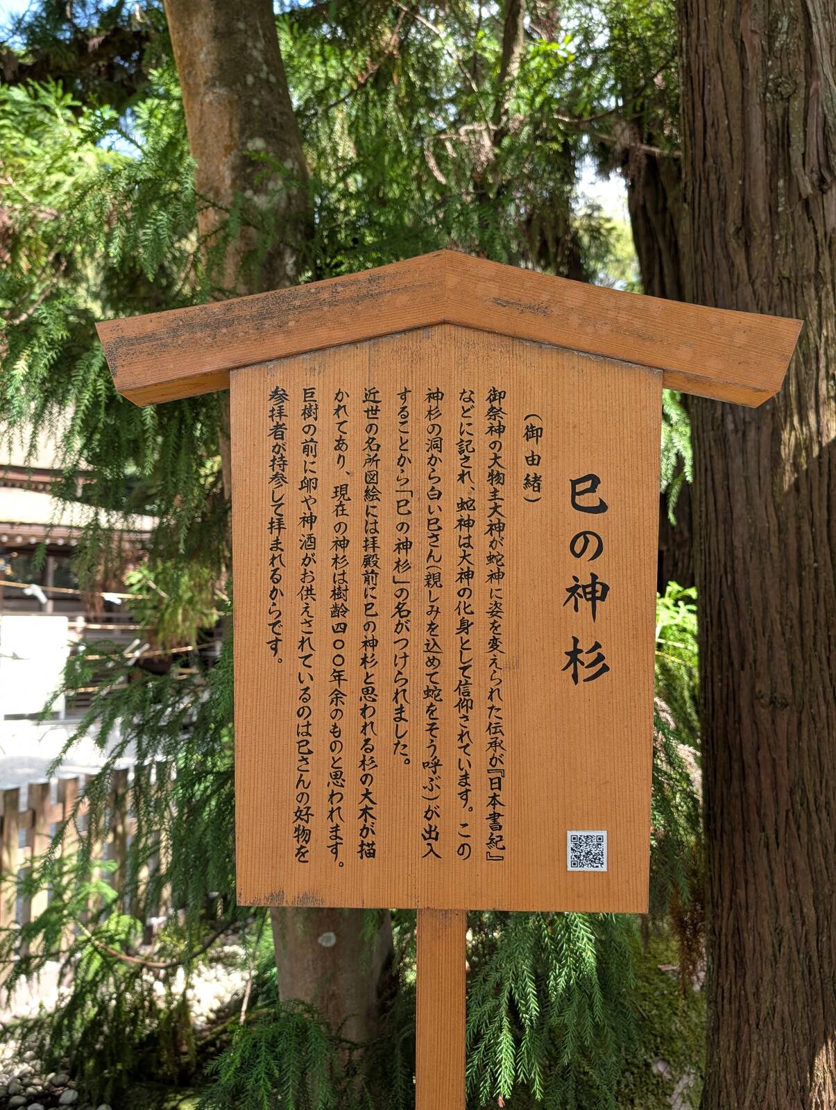 巳の神杉の御由緒