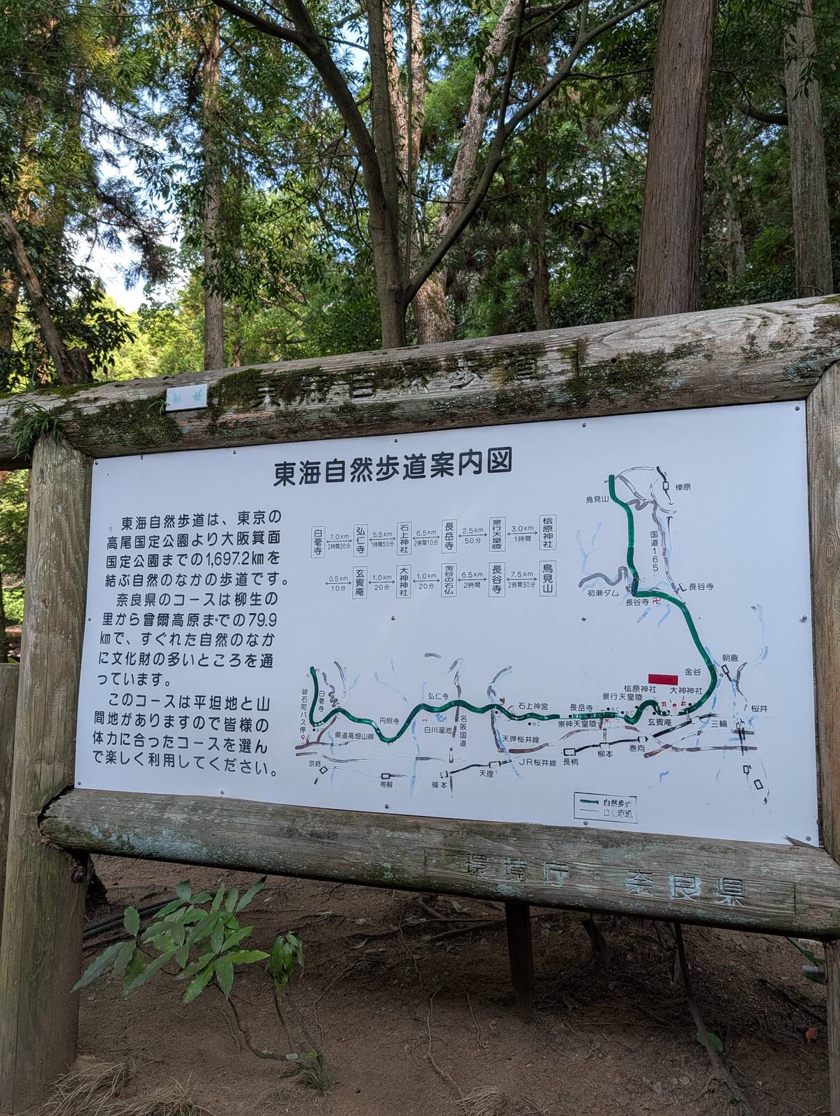 東海自然歩道案内図
