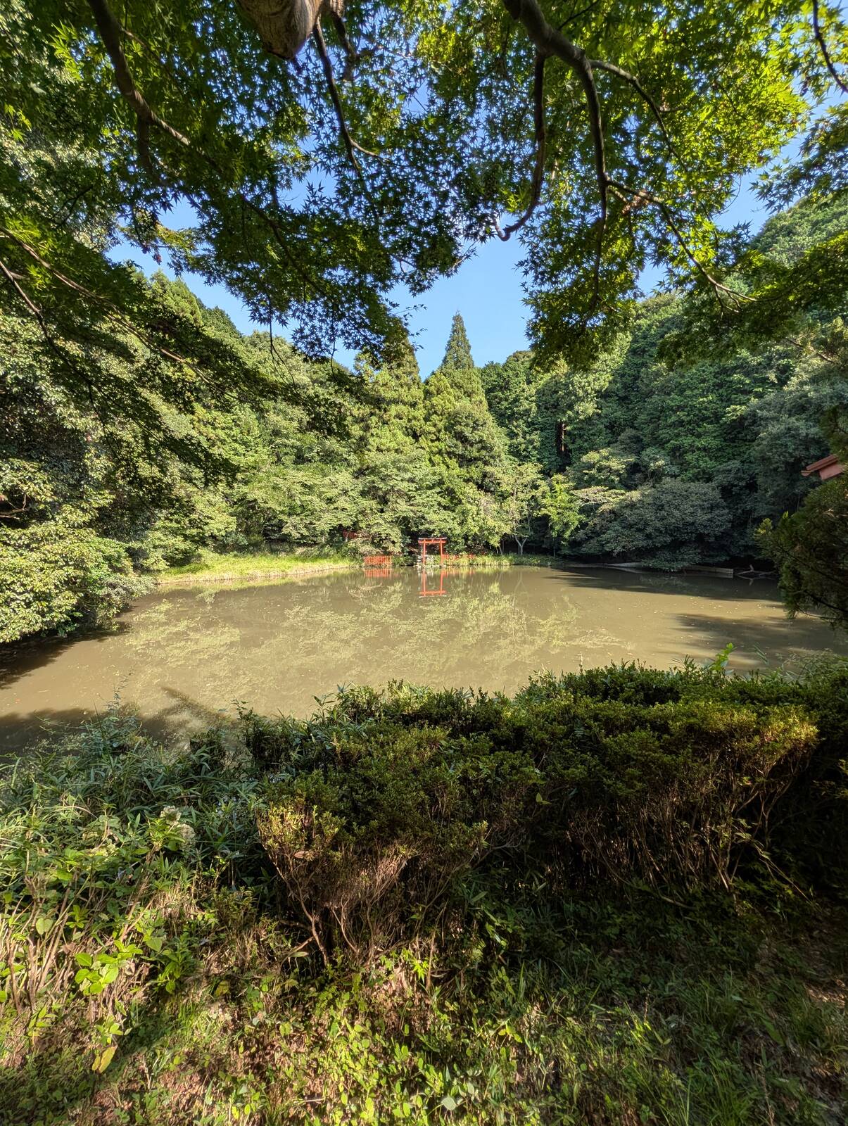 湖に鳥居