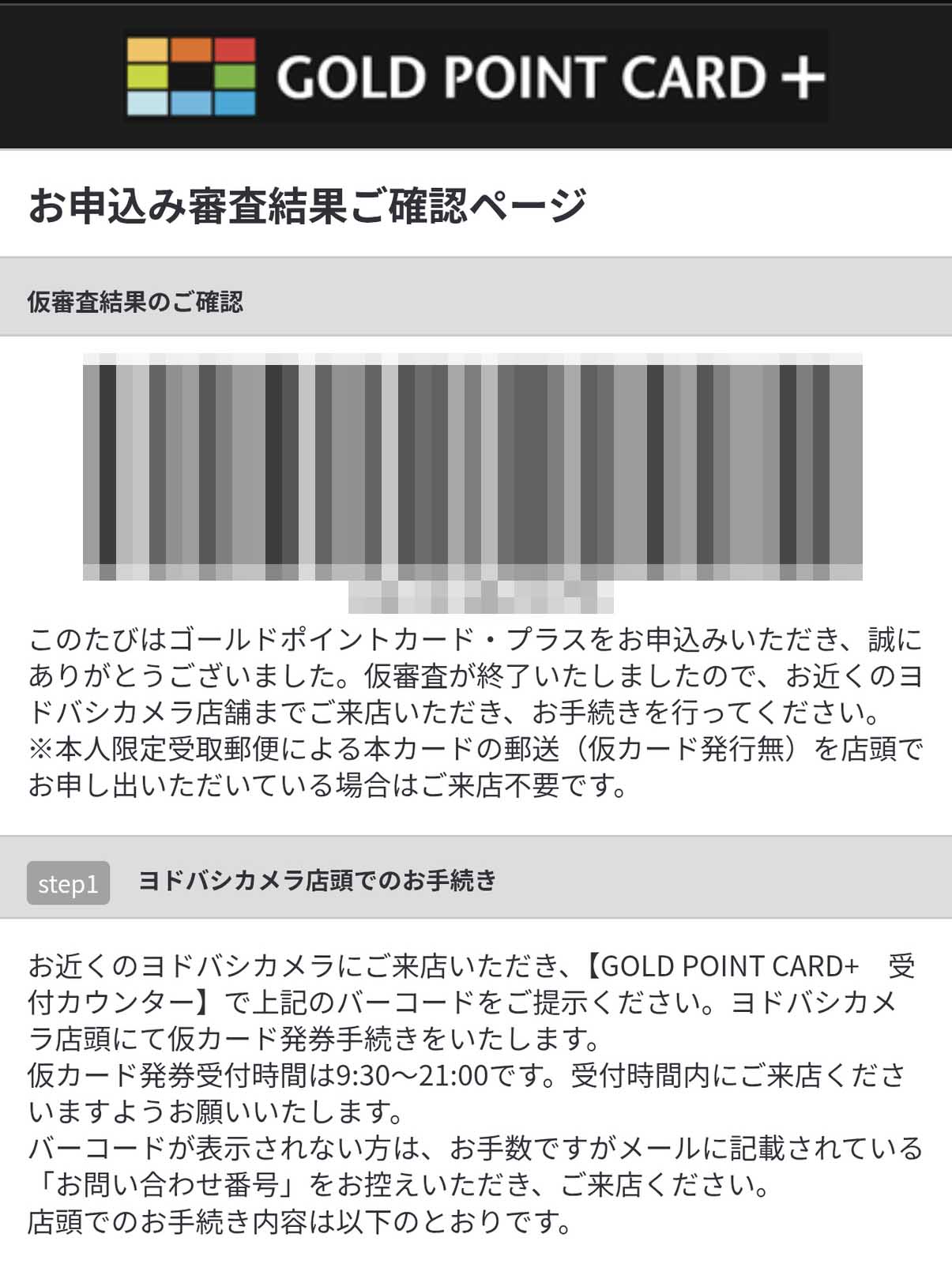 仮審査結果