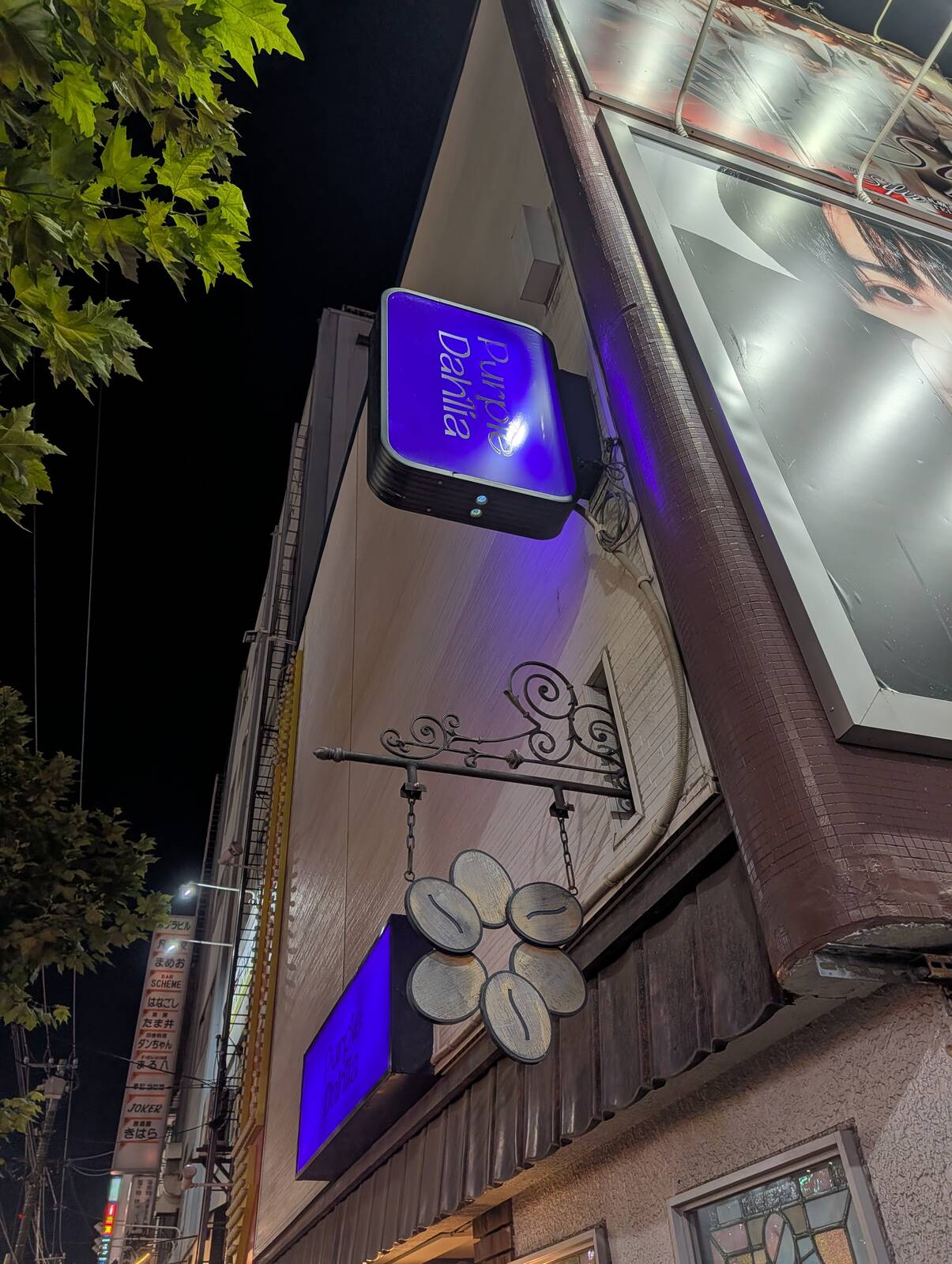 パープルダリア