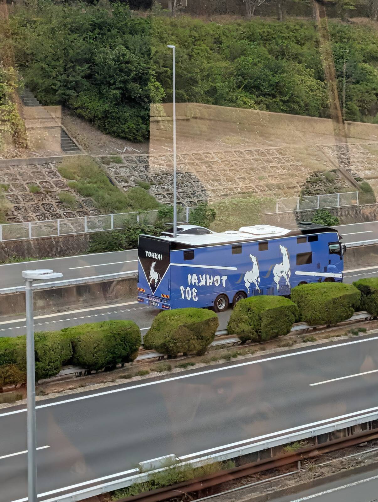 馬運車