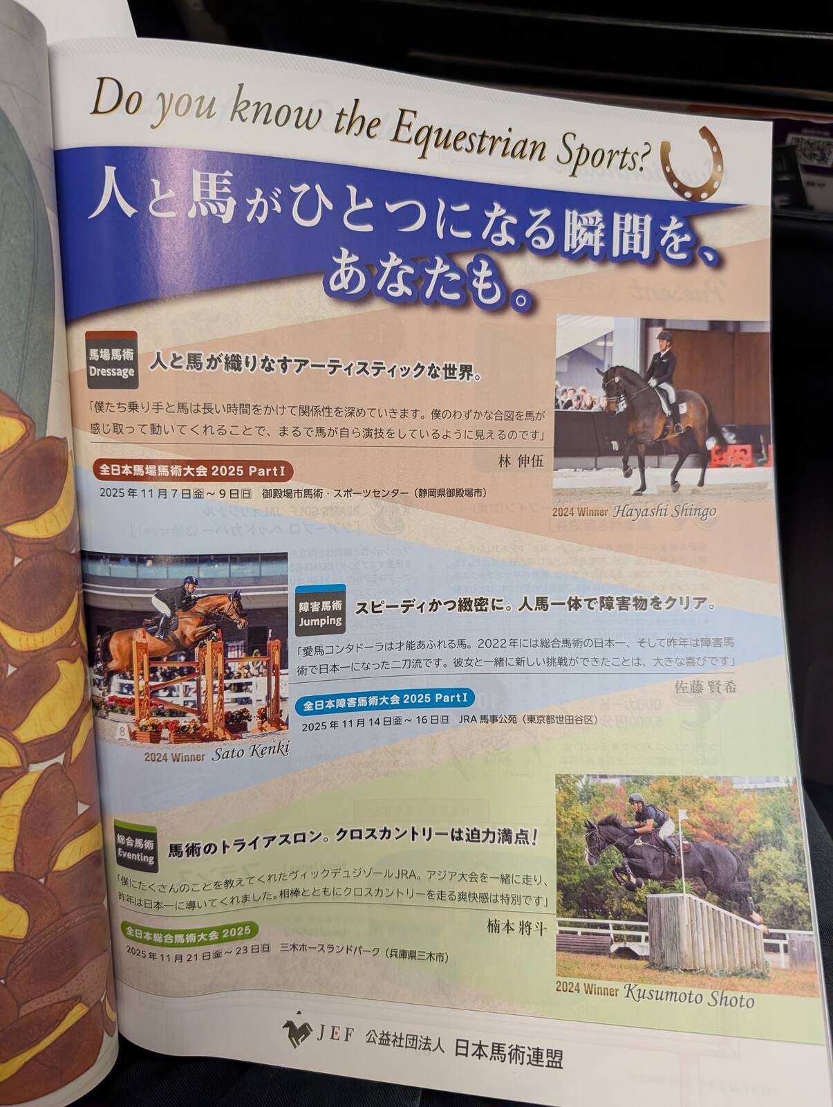 馬術競技