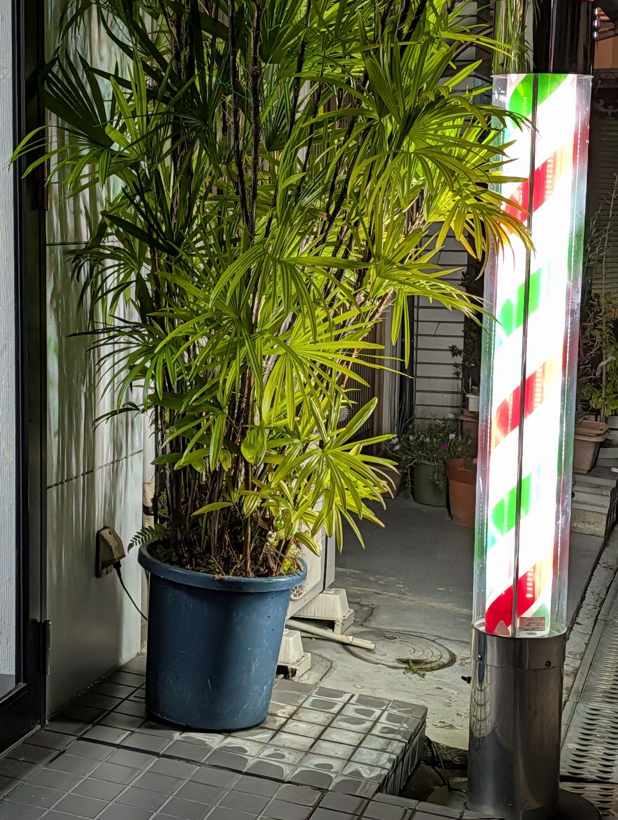 散髪来店