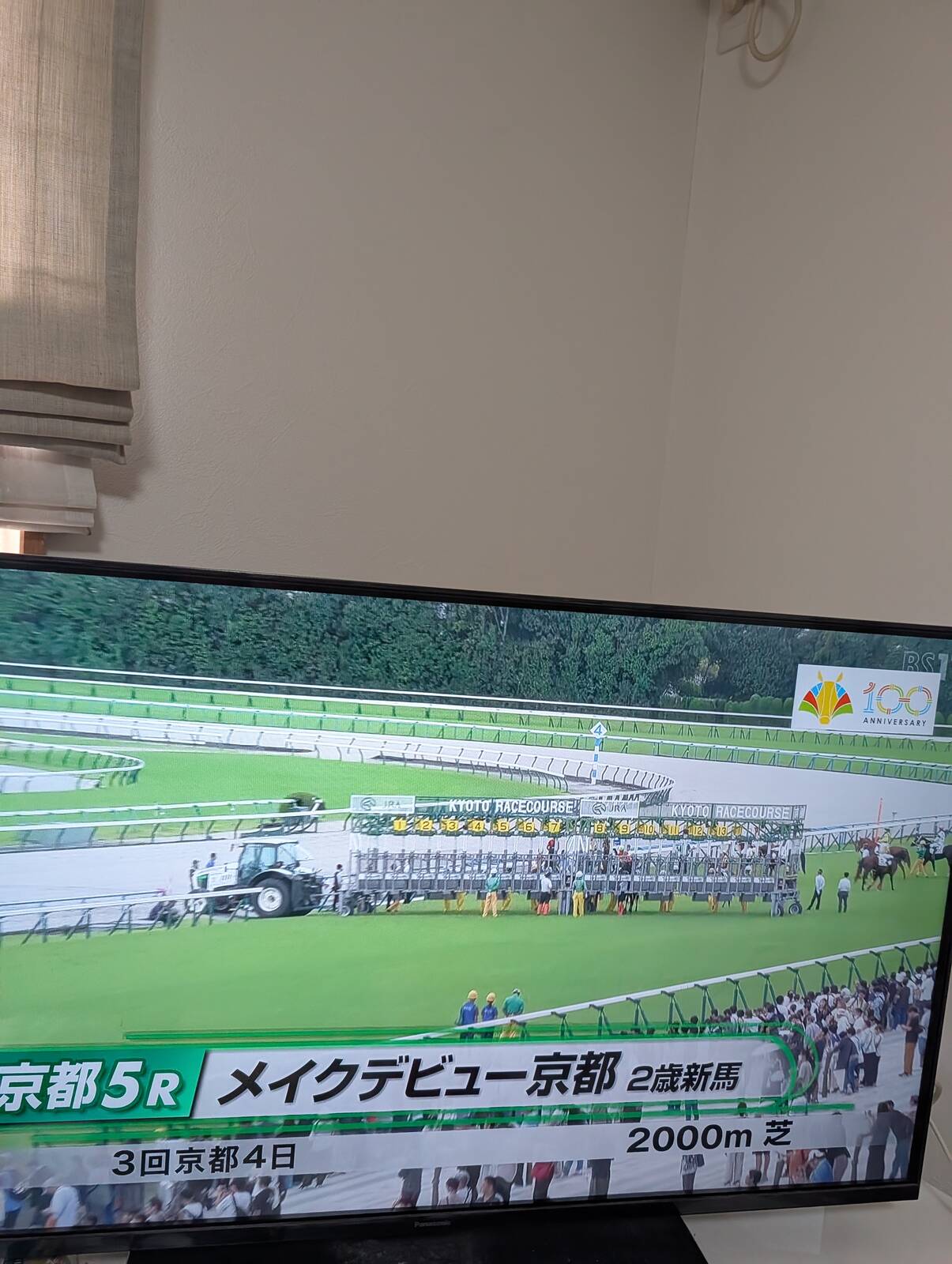 本日の京都競馬場