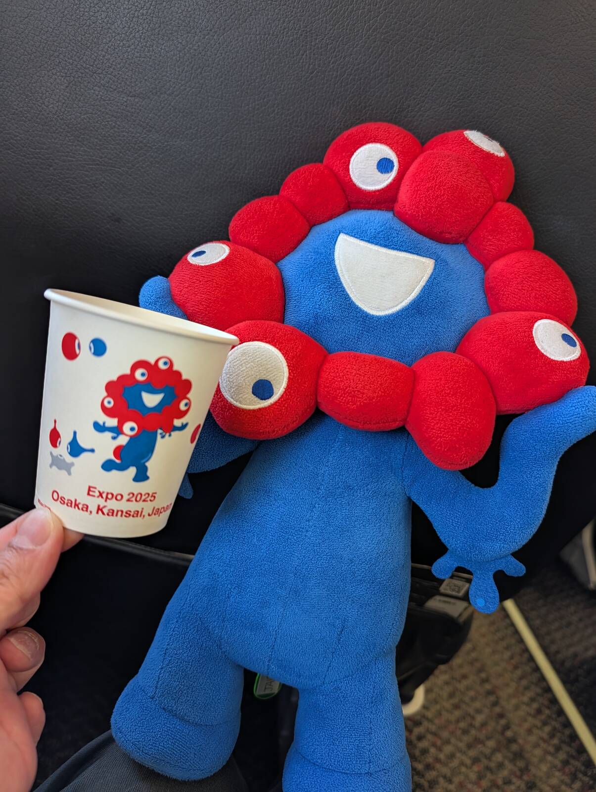 本日のドリンク