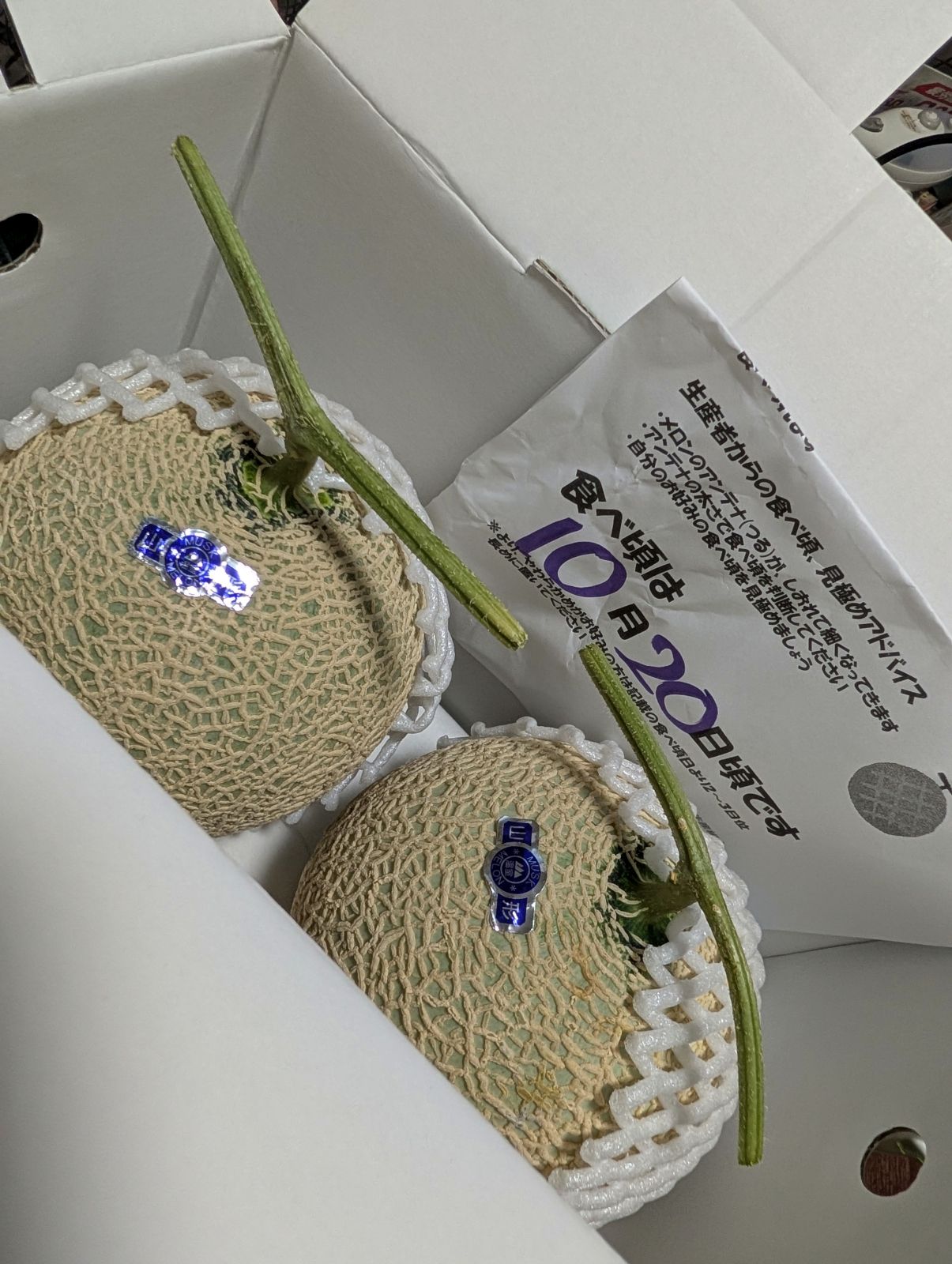 今月のふるさと納税返礼品