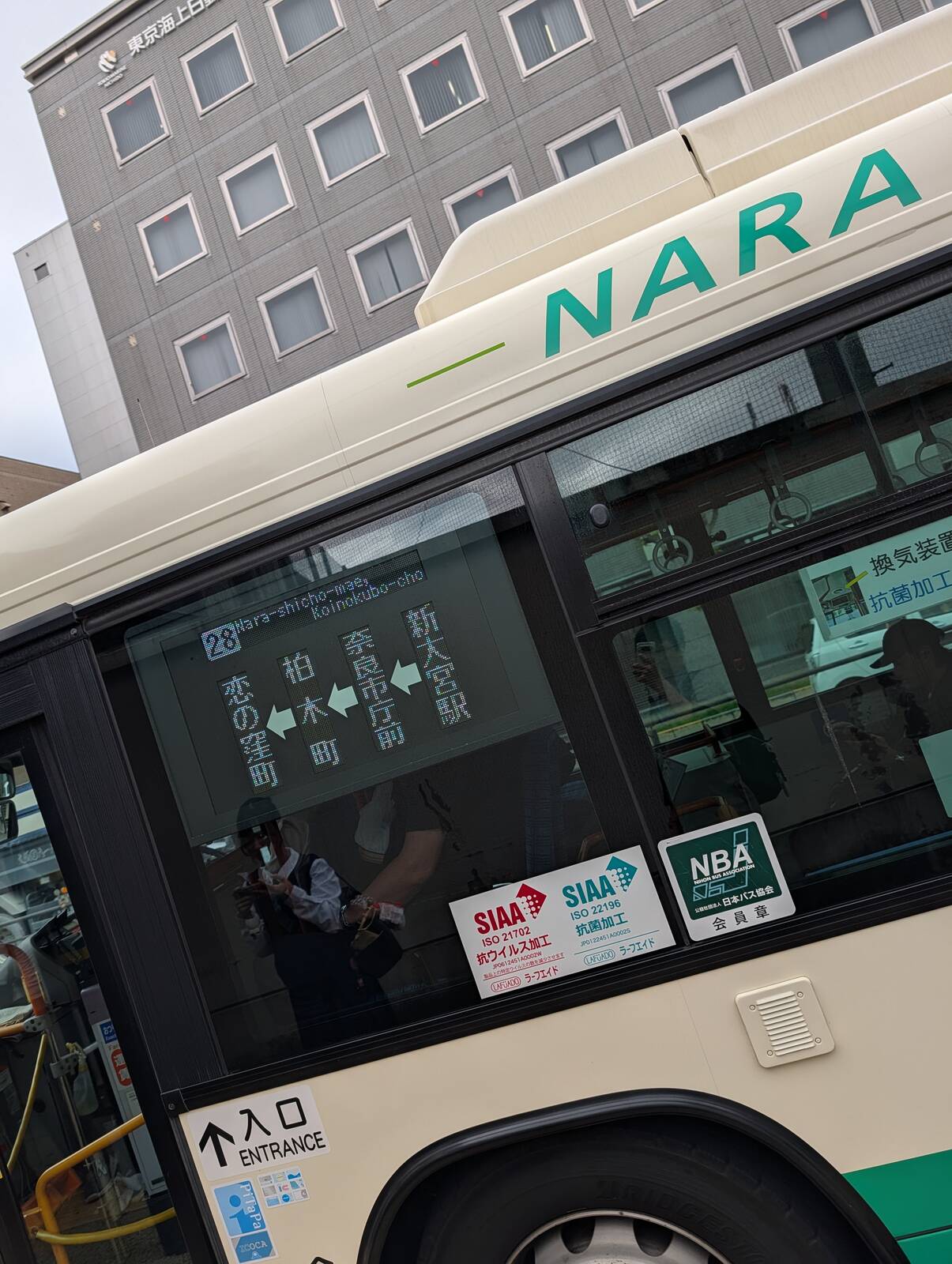 バスで移動