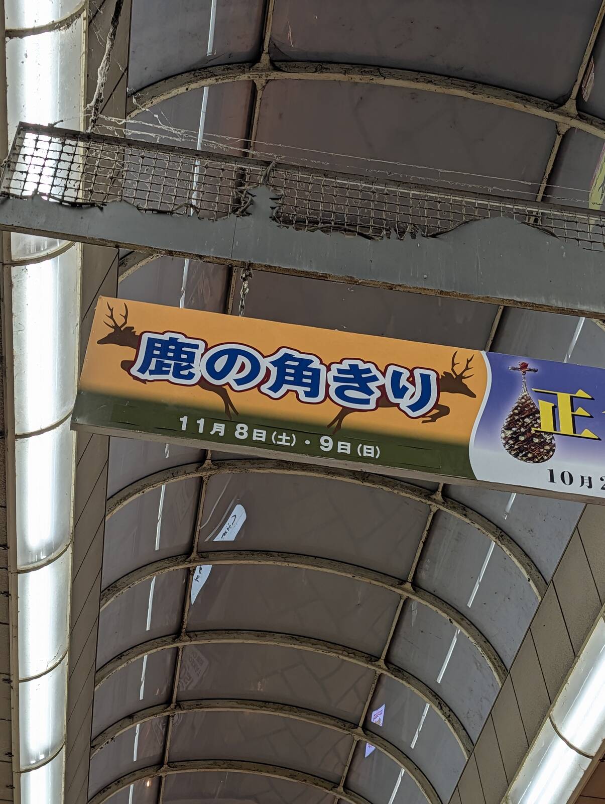 鹿の角きり