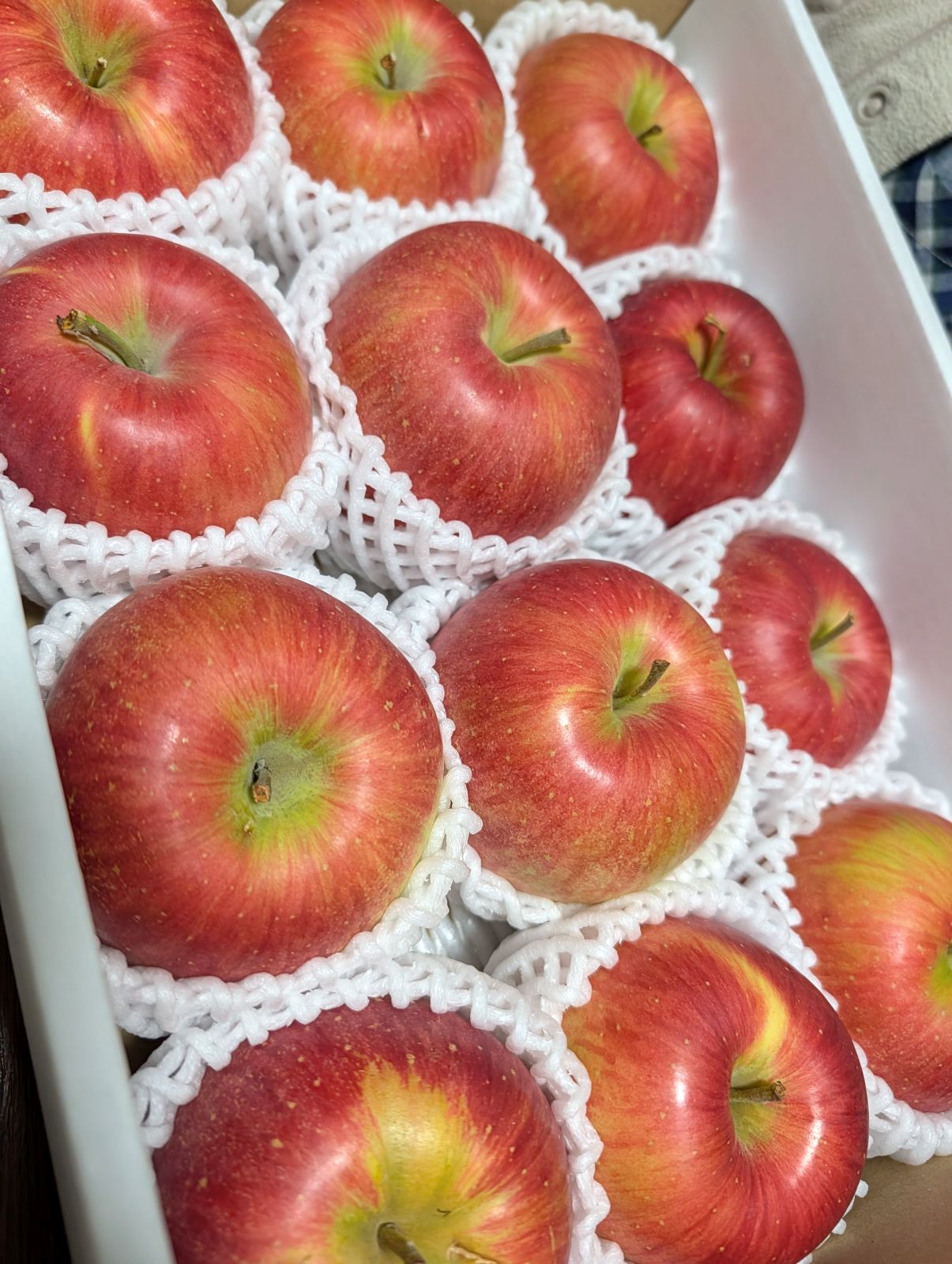 今月のふるさと納税返礼品