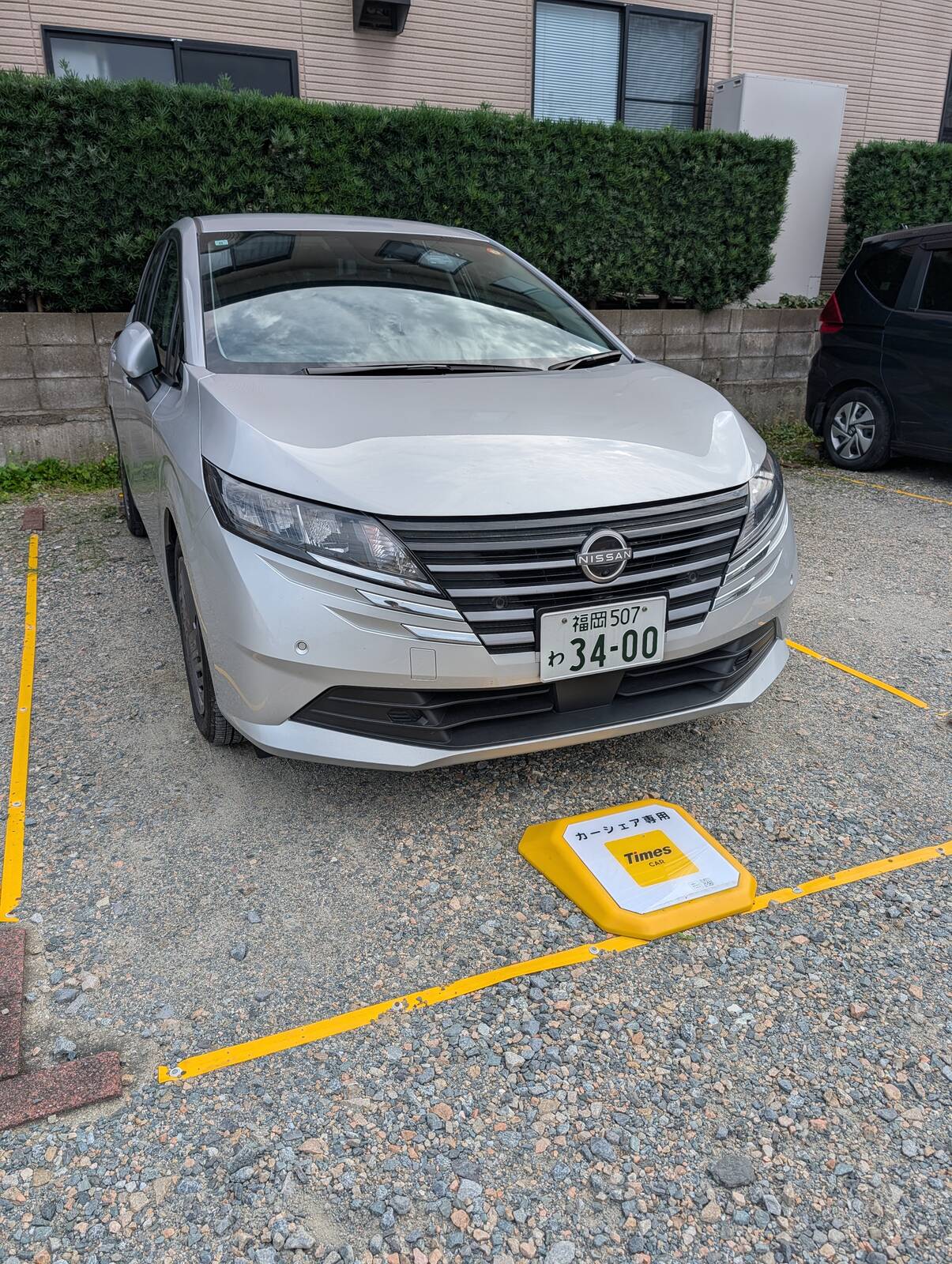 本日のタイムズ