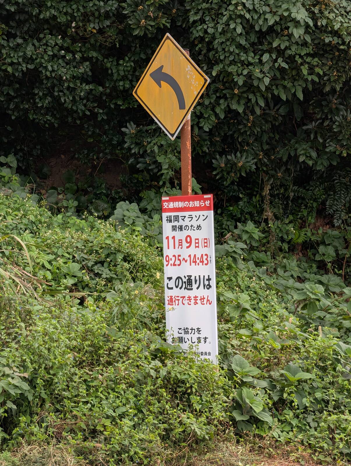 福岡マラソンのコース