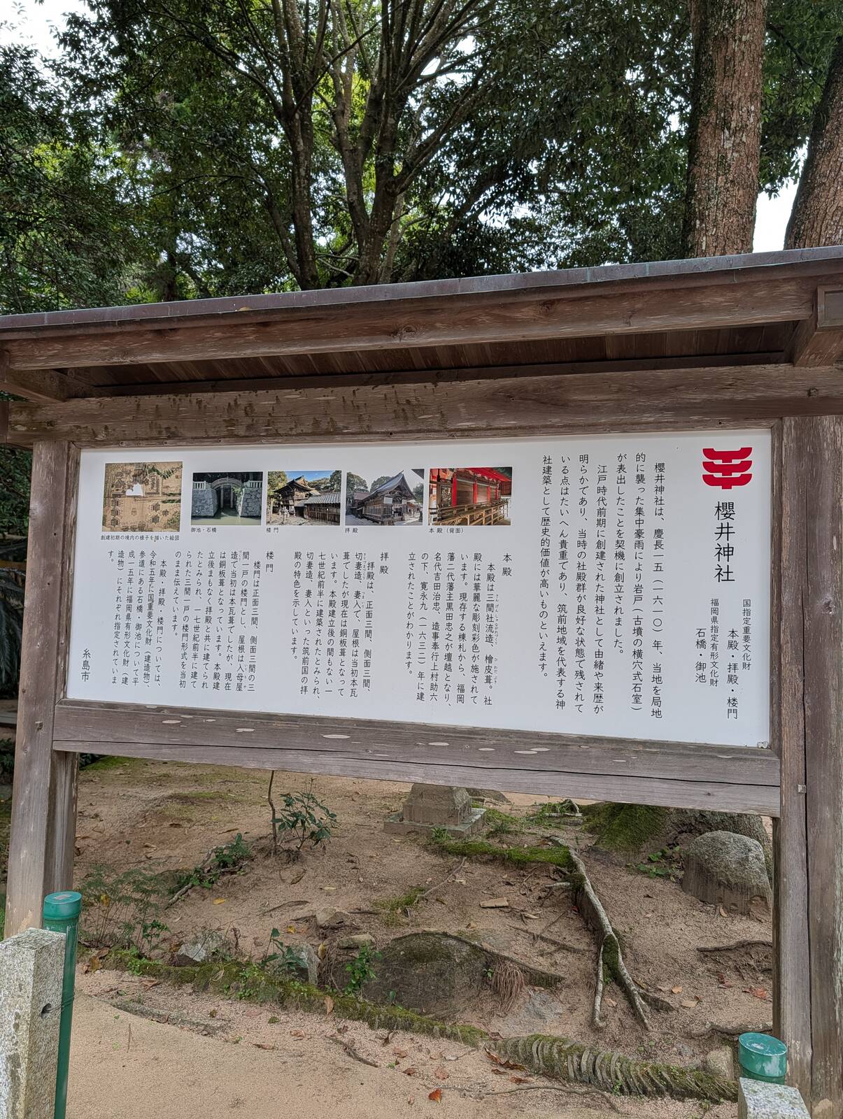 櫻井神社について