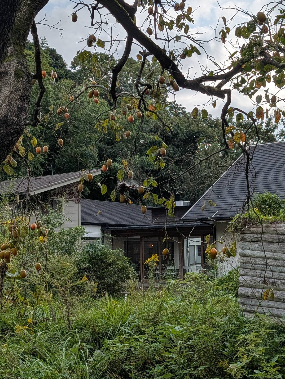 本日のイベント会場