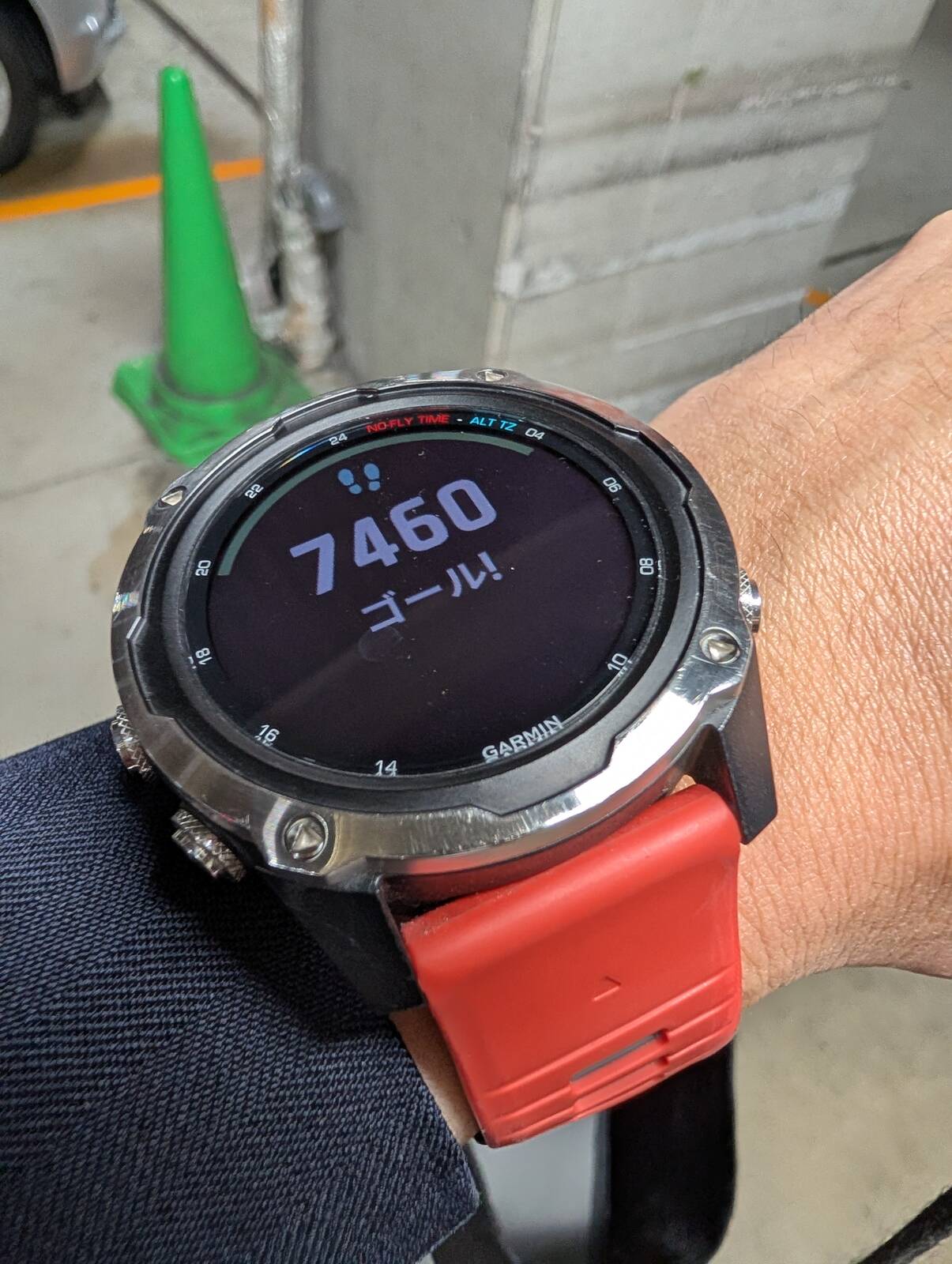 ただいまの歩数