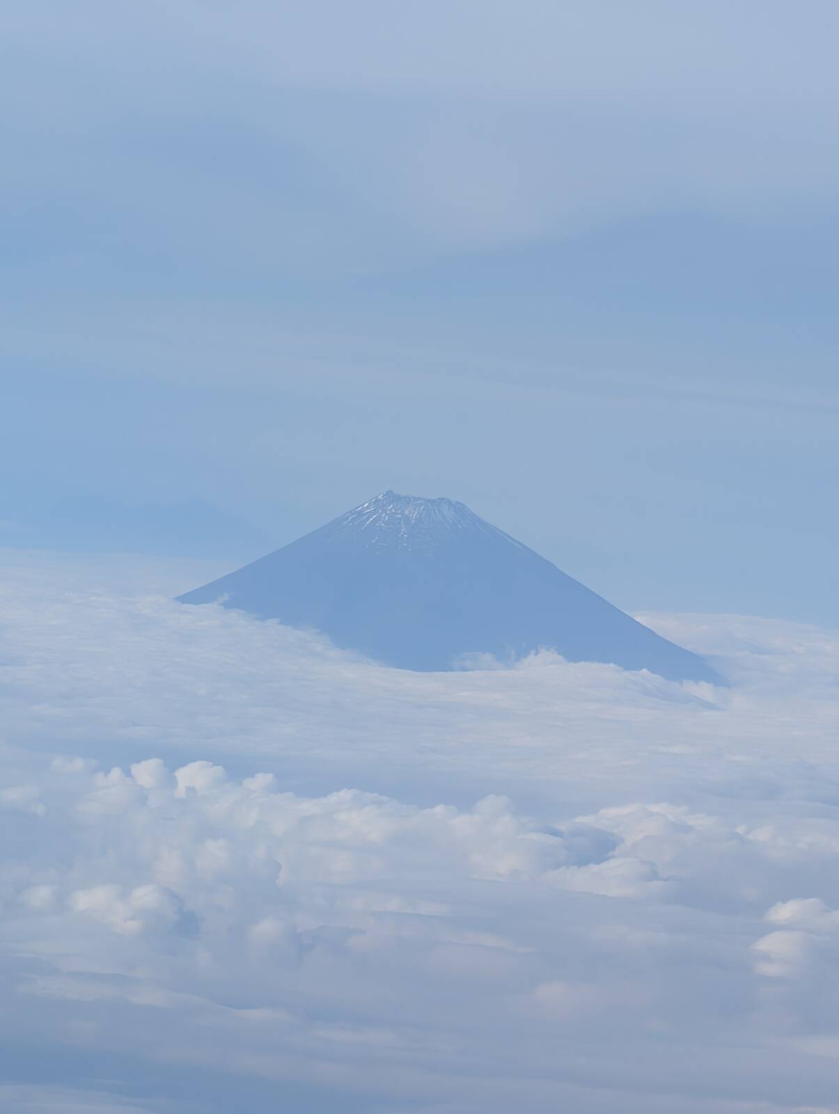 本日の富士山