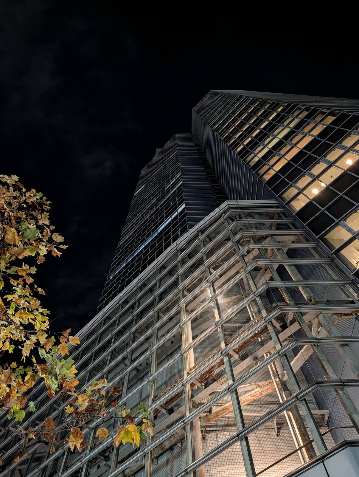 本日の会場建物