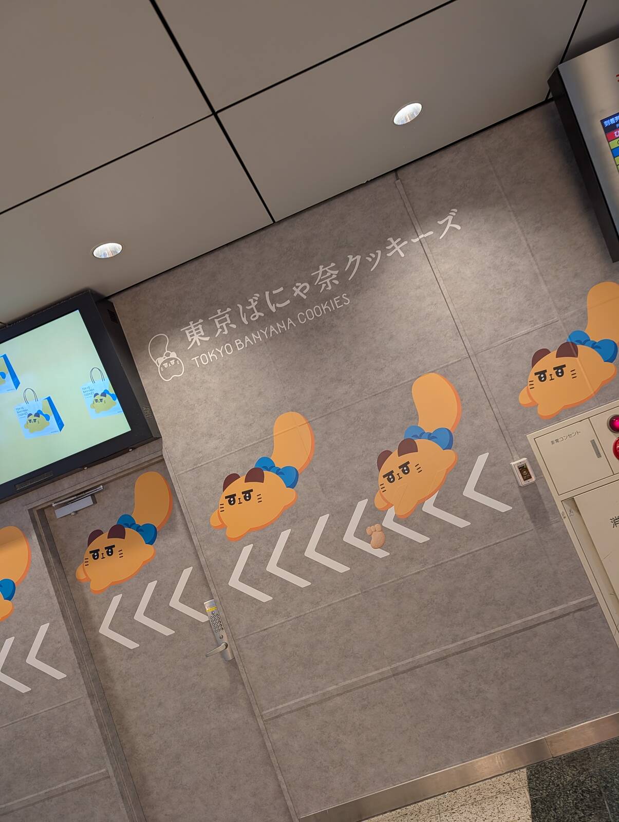 東京ばにゃ奈クッキーズ