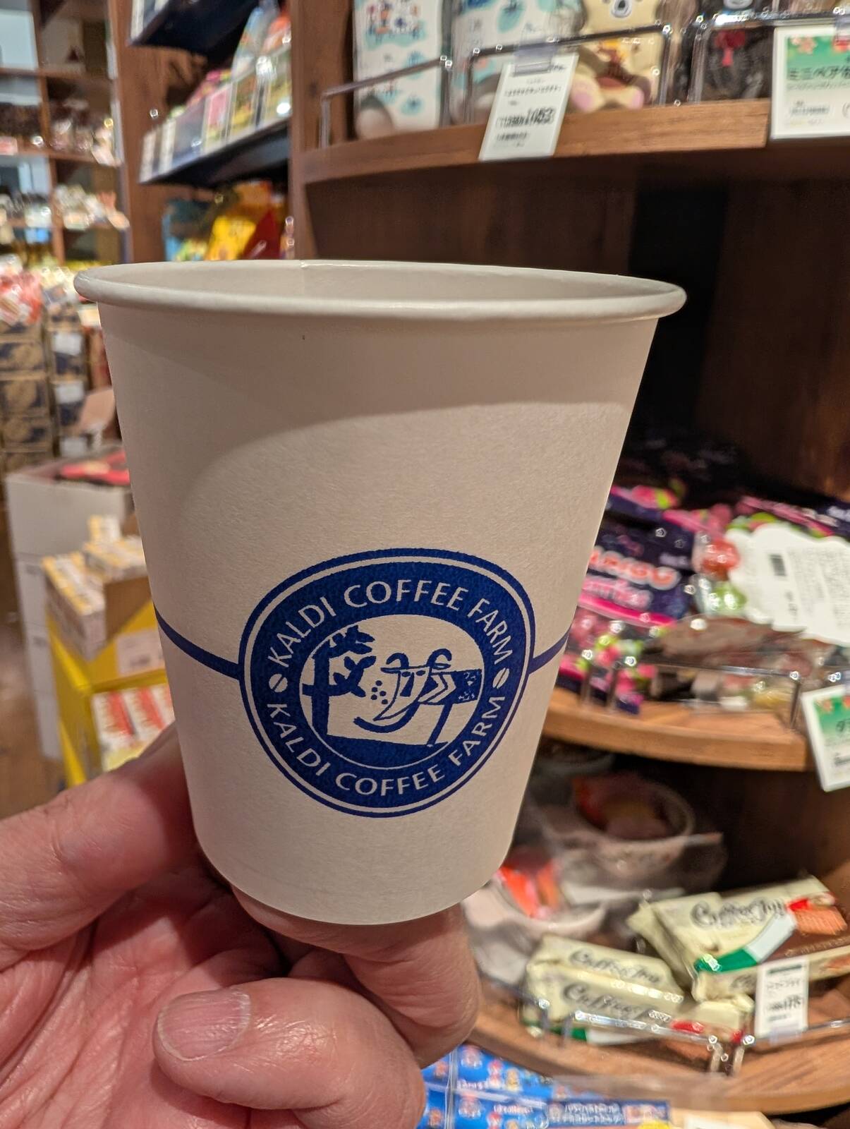 本日のコーヒー