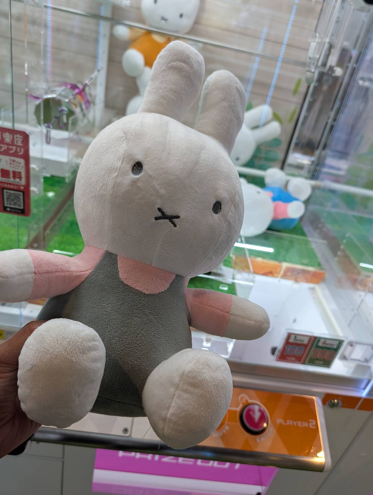 本日のミッフィーさん