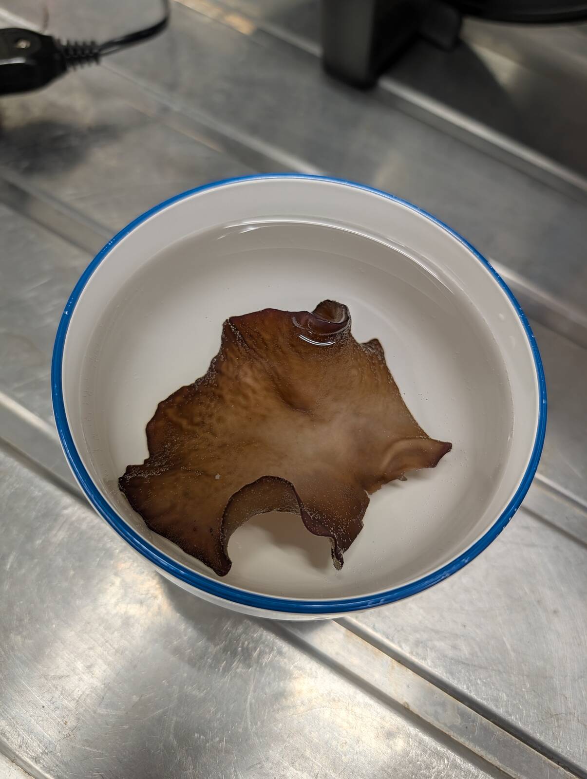 キクラゲの水もどし