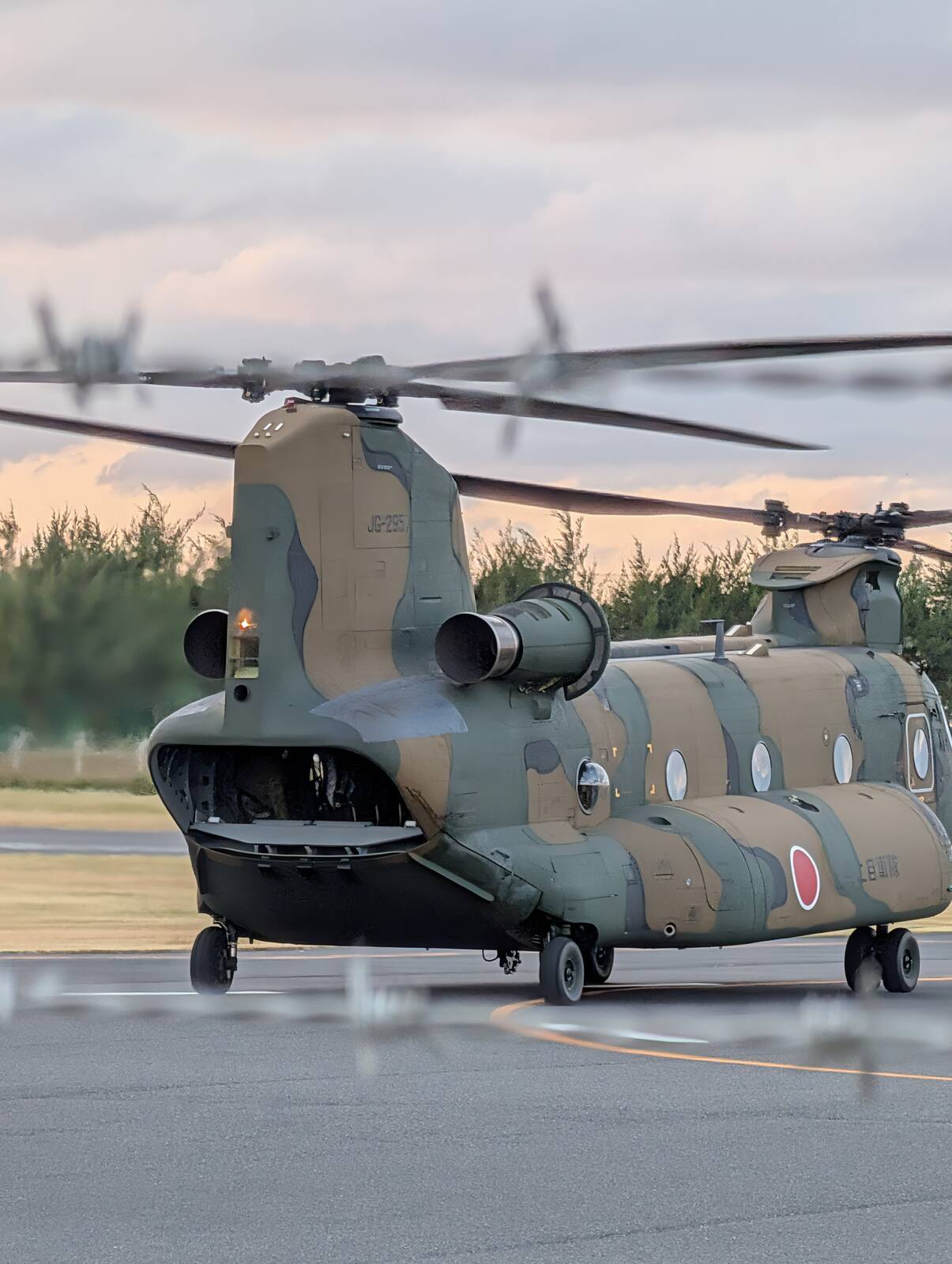 チヌークの後ろ