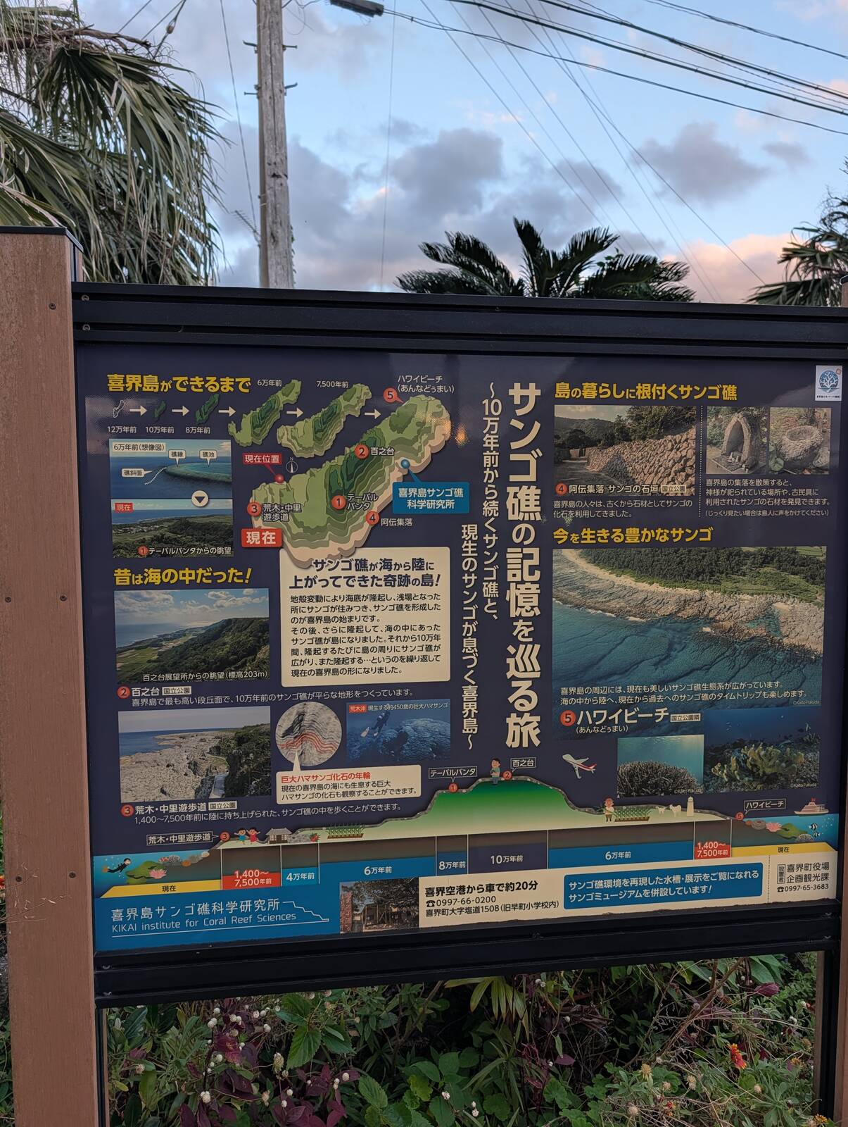 喜界島の地面