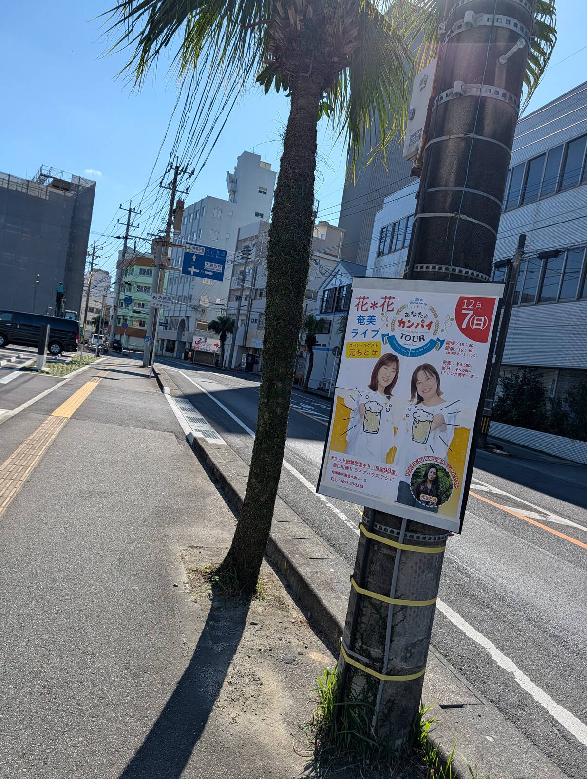 ライブ告知ポスター