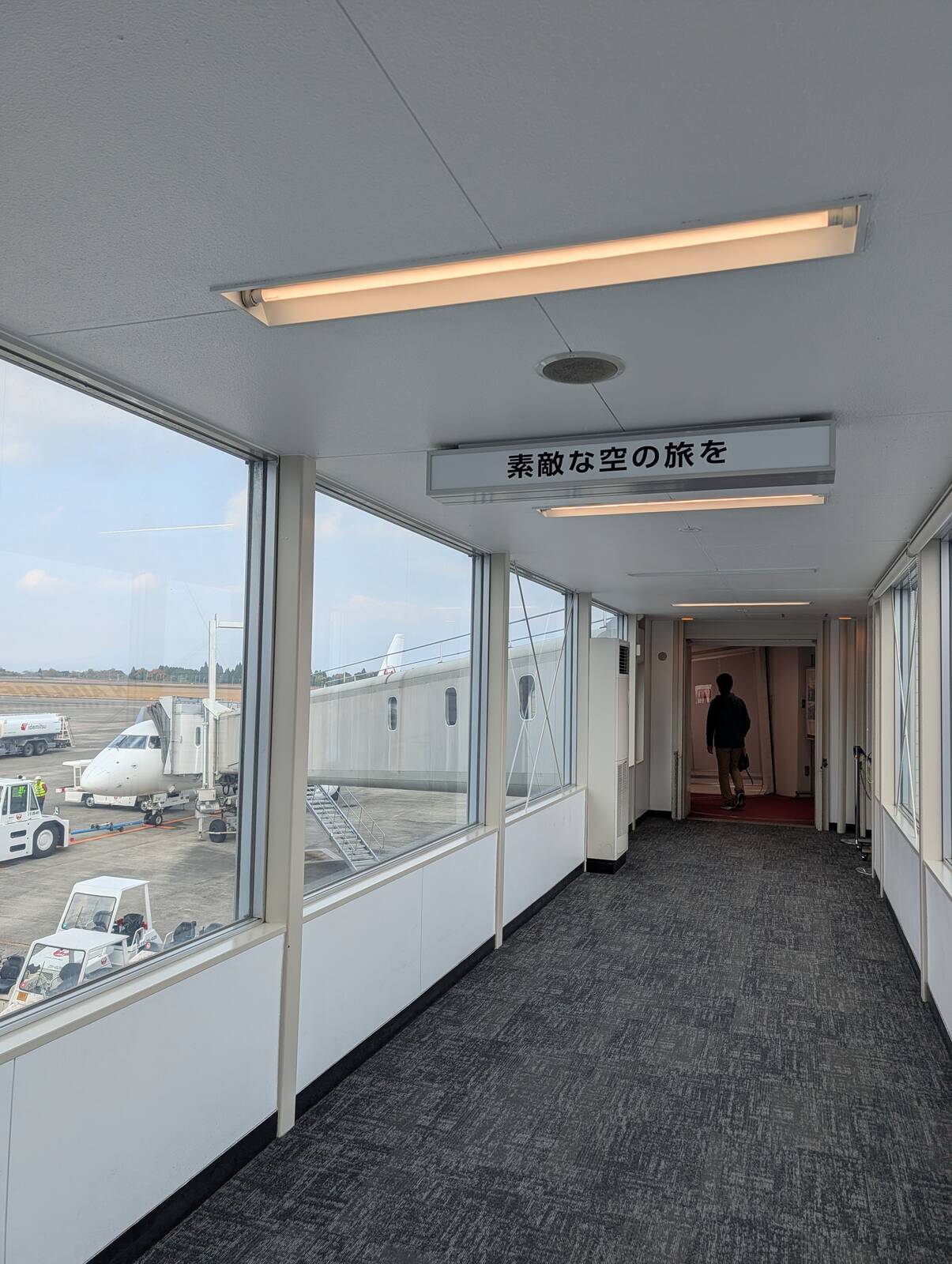素敵な空の旅を