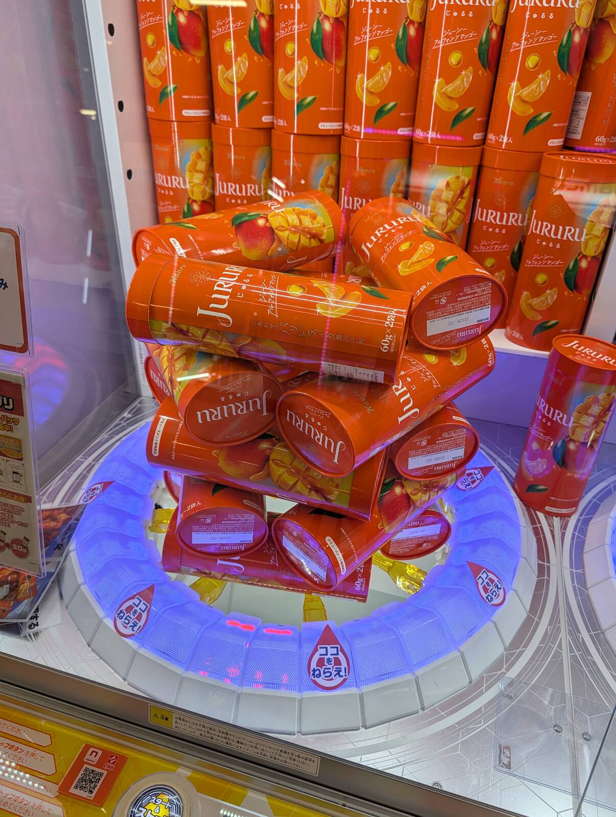 本日のアミューズメント機