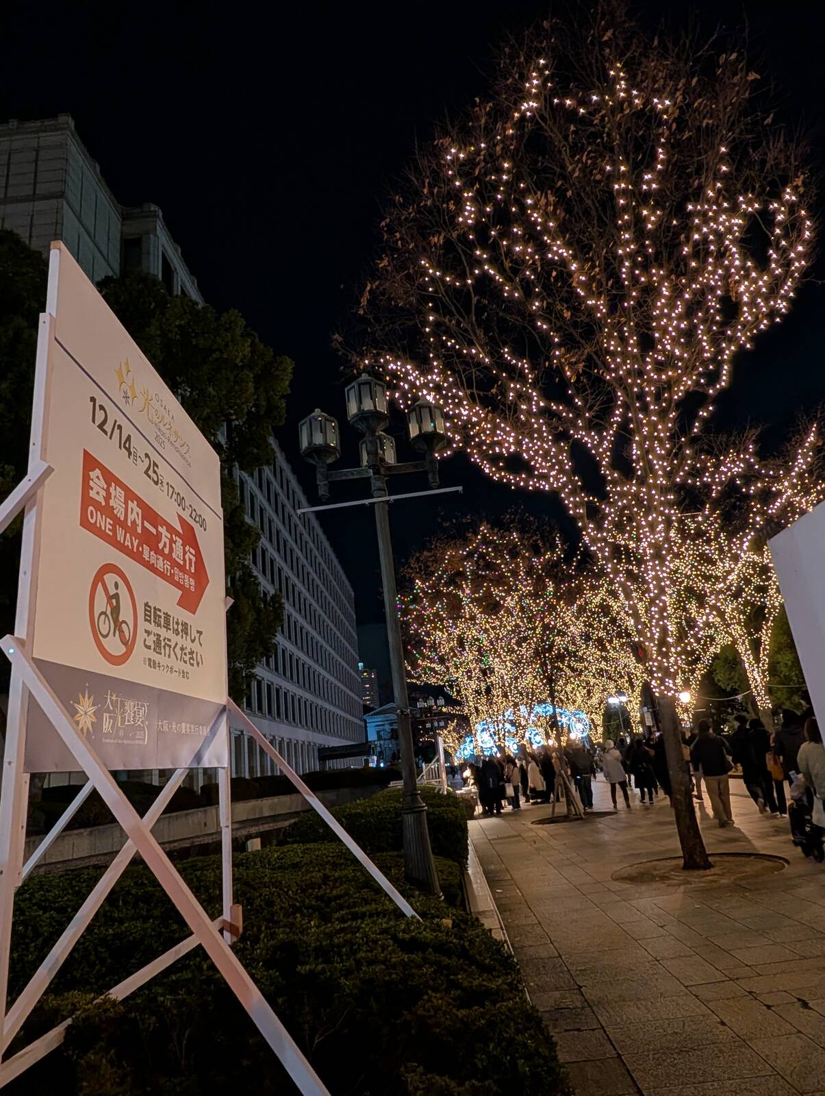 光のルネサンス