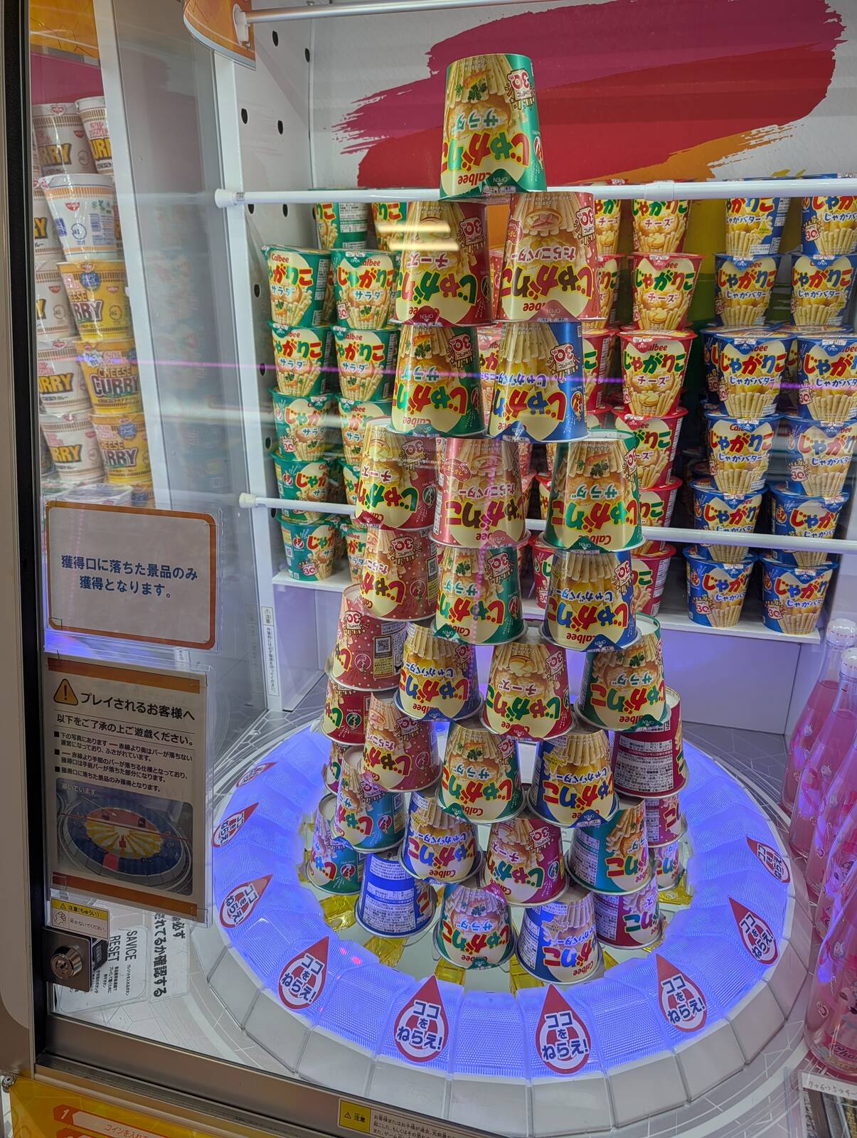 本日のアミューズメント