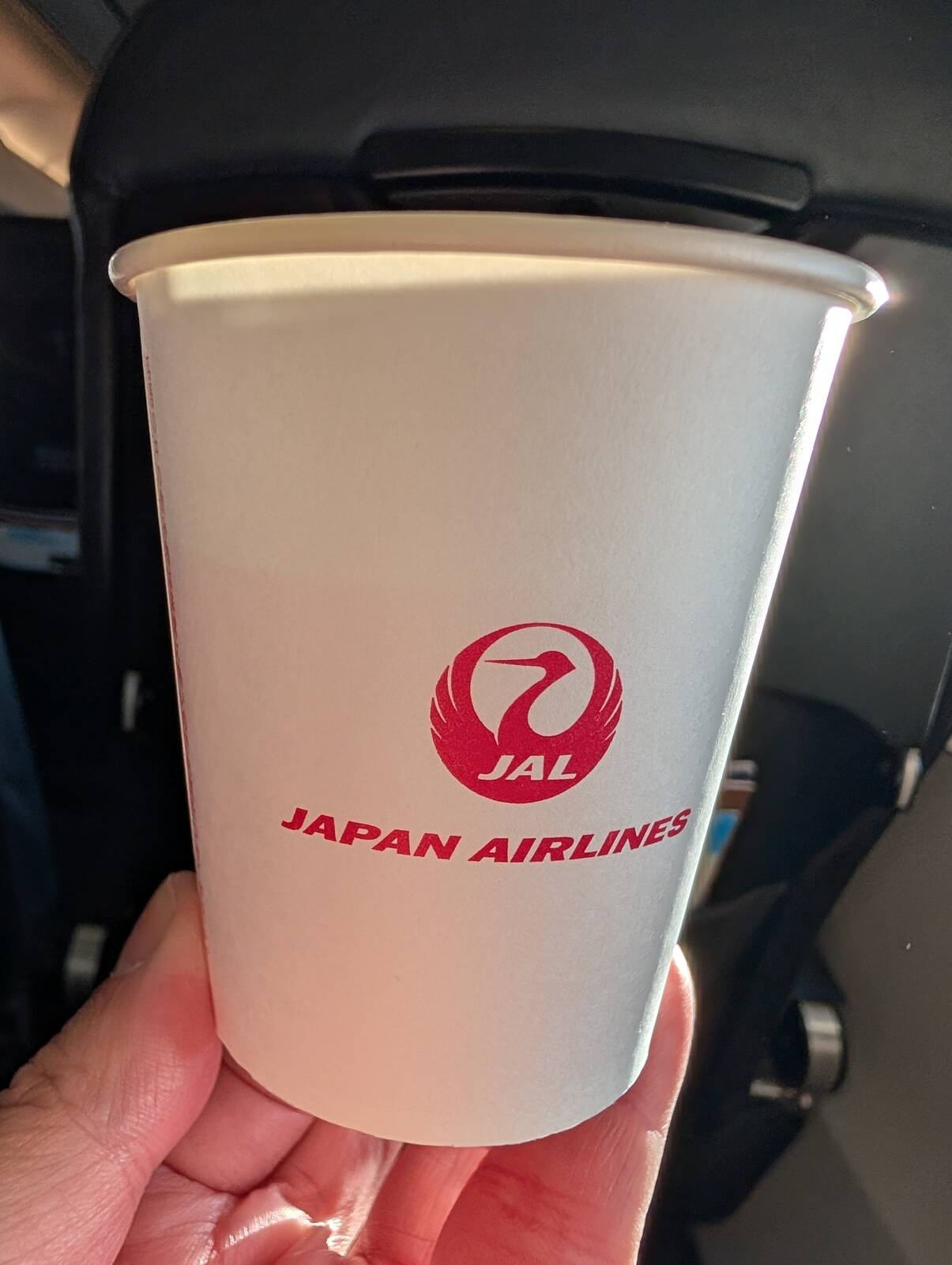 本日のドリンク