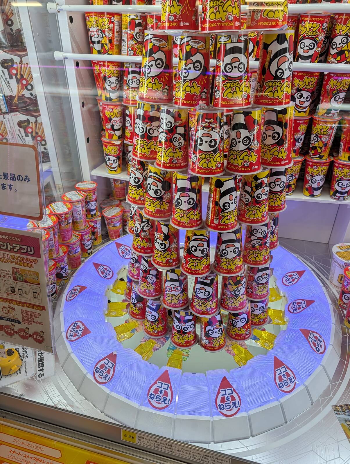 本日のアミューズメント