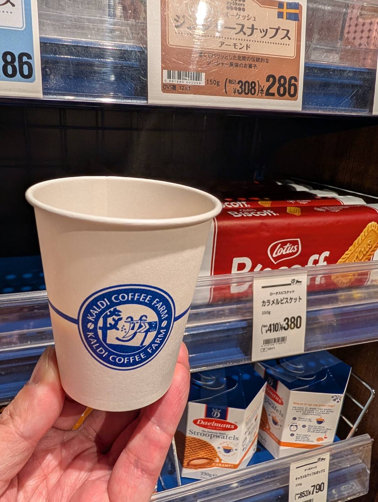 本日のコーヒー