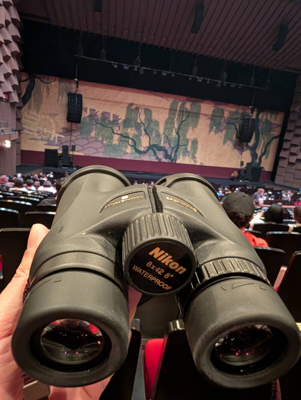 本日の飛び道具