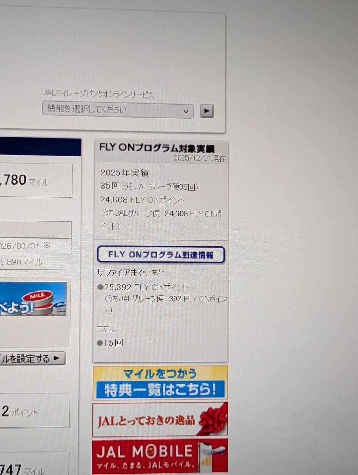 今年の搭乗実績とFOP