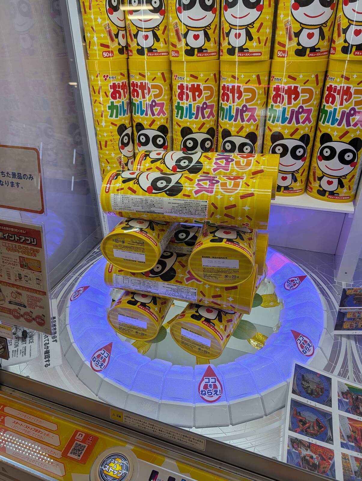 本日のアミューズメント