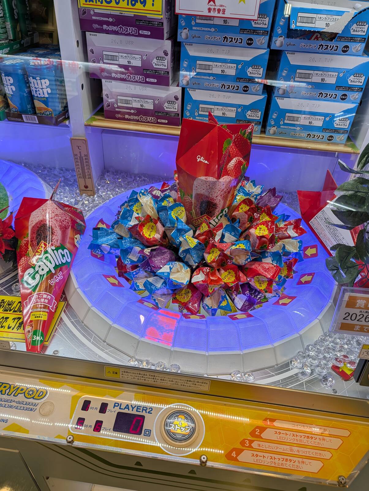 本日のアミューズメント