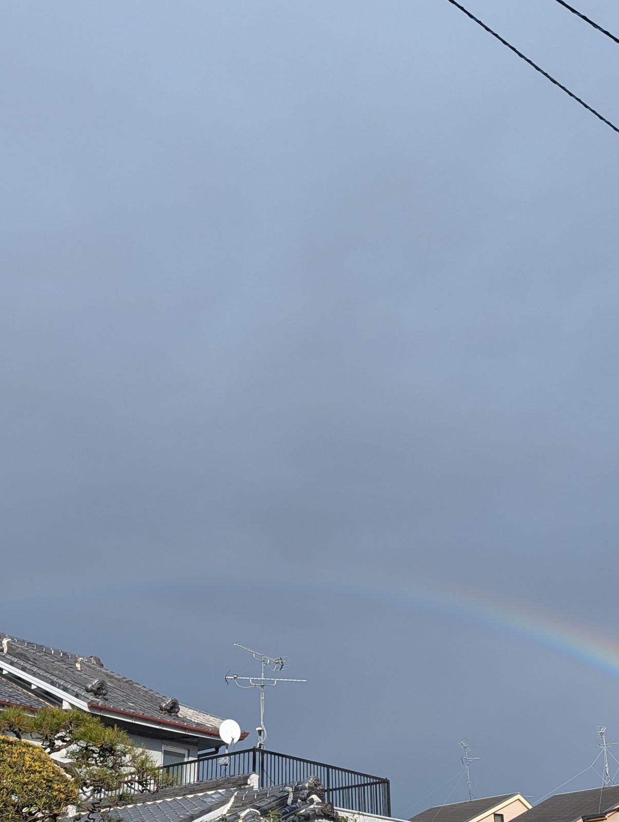 本日の虹