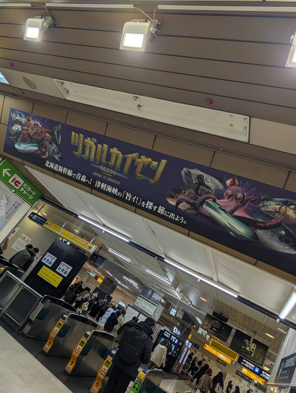 ツガルカイセン