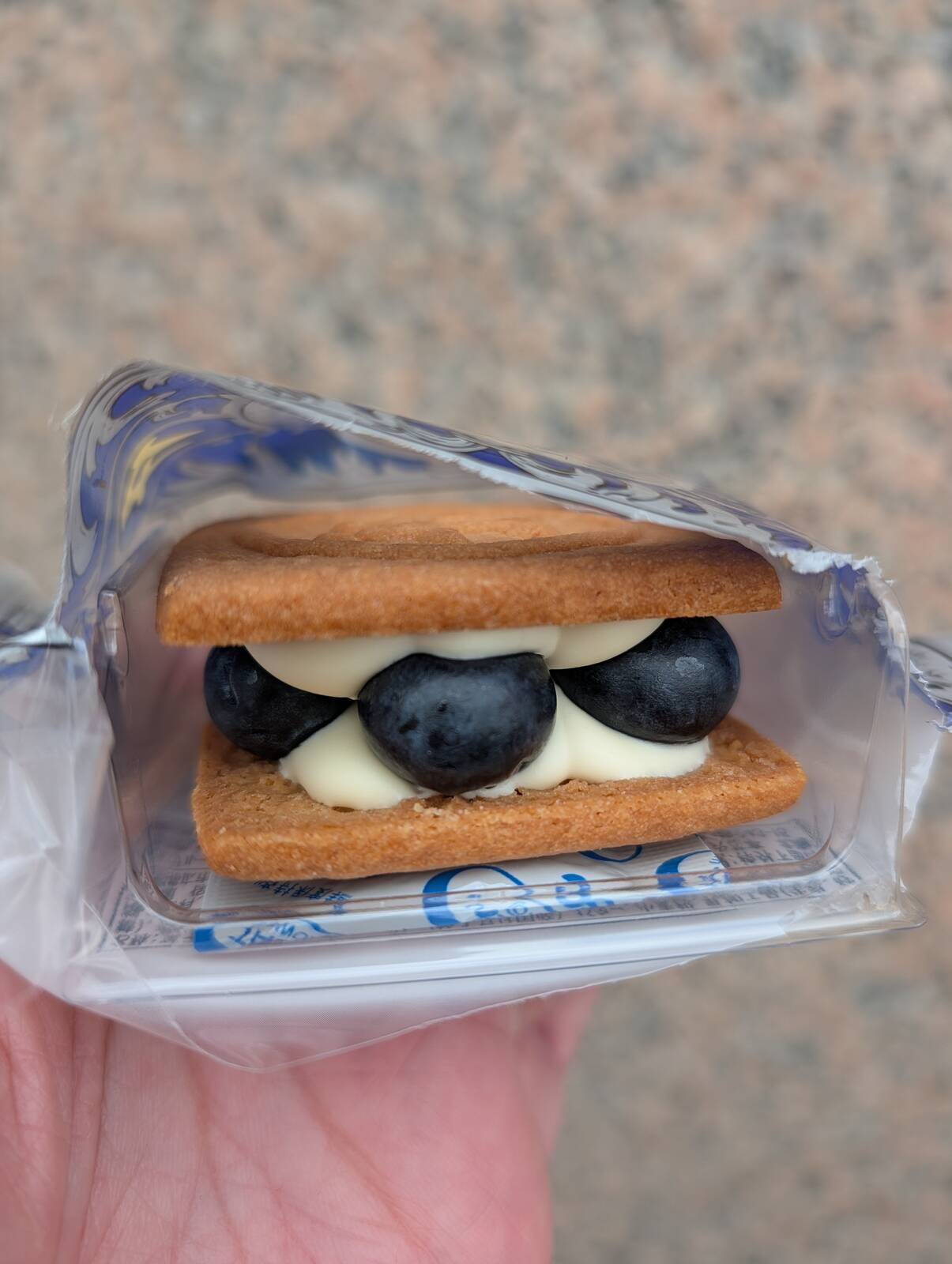 生ブルーベリーマルセイバターサンド