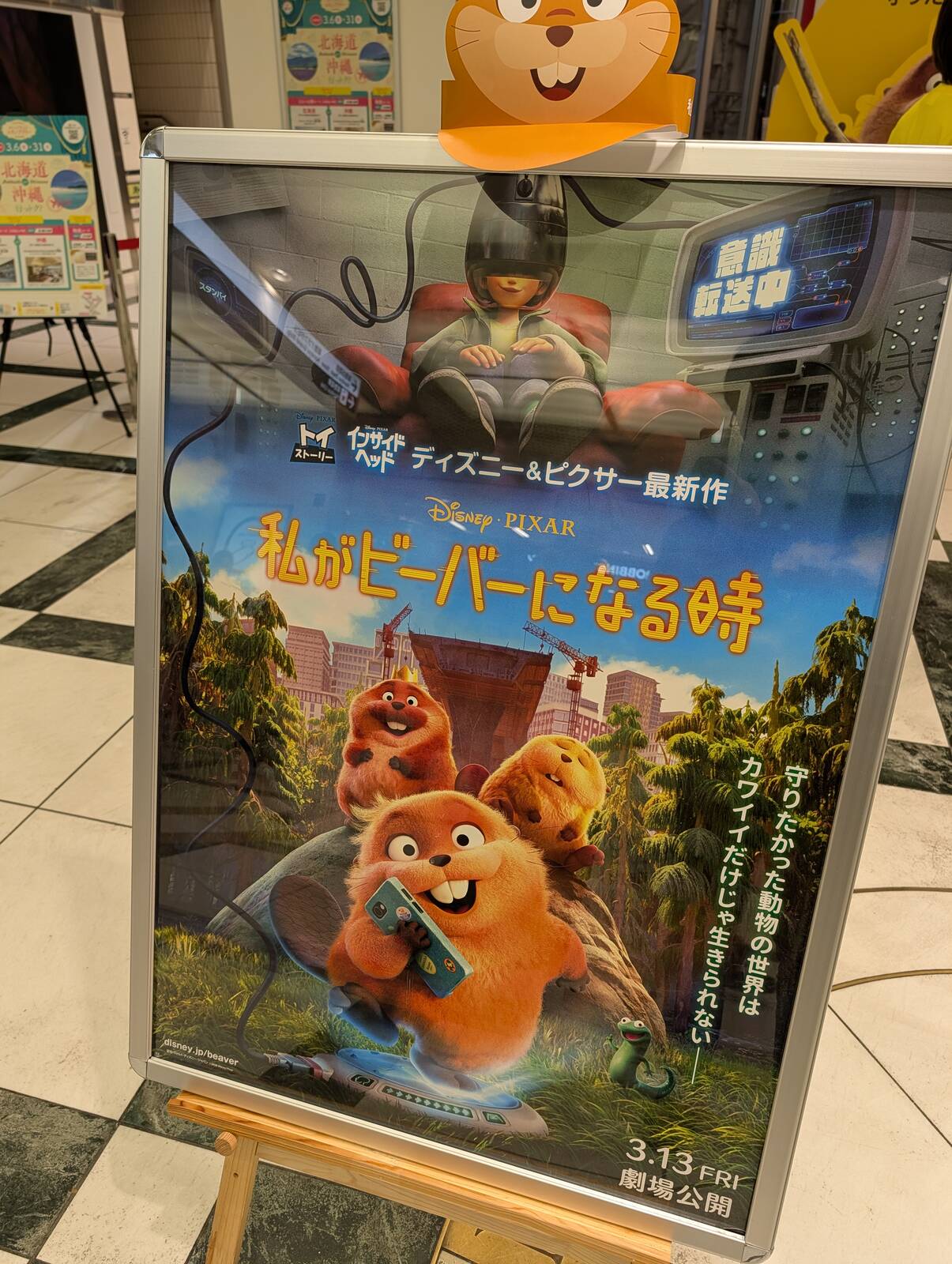 私がビーバーになる時