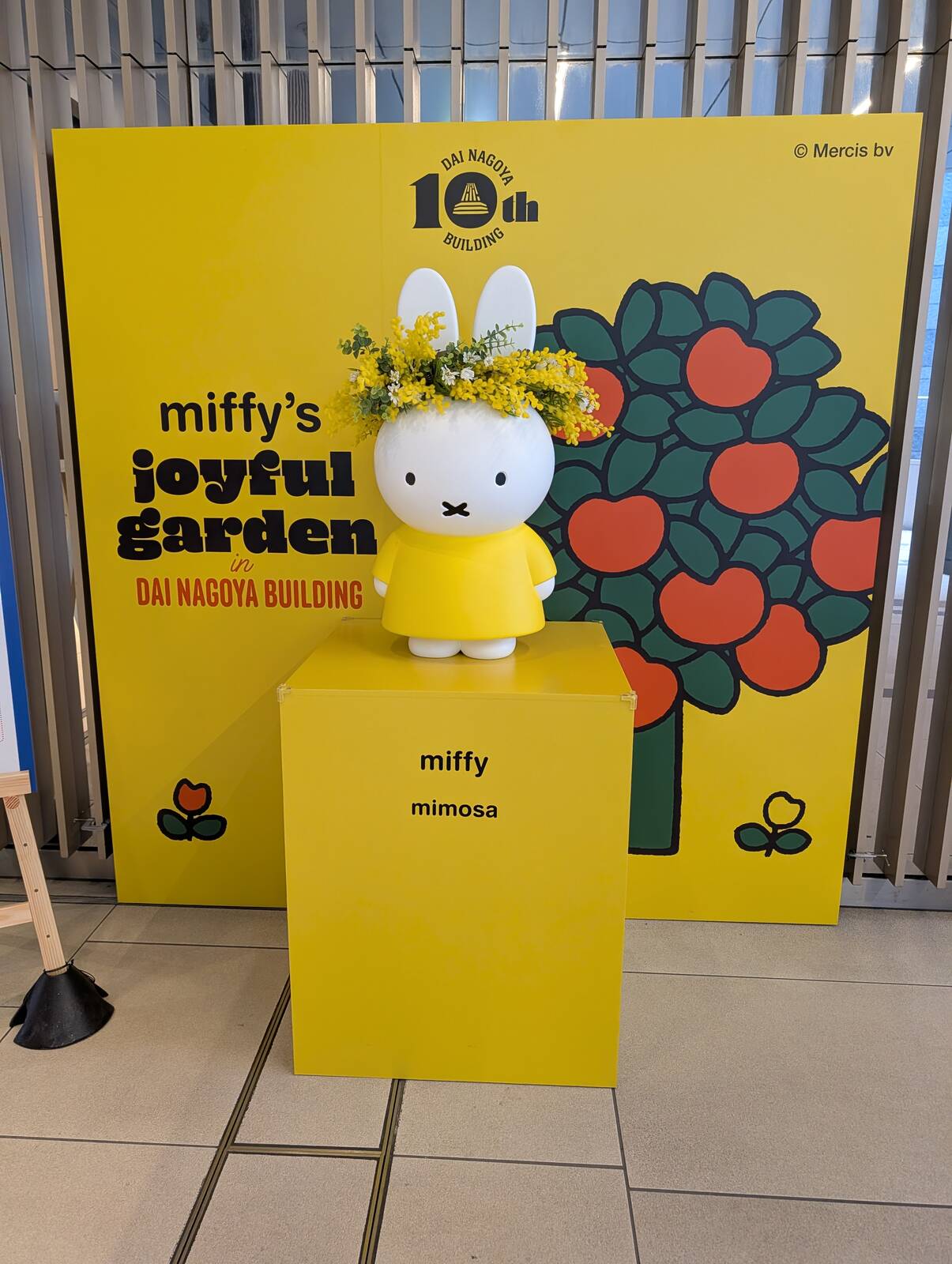 miffy mimosa
