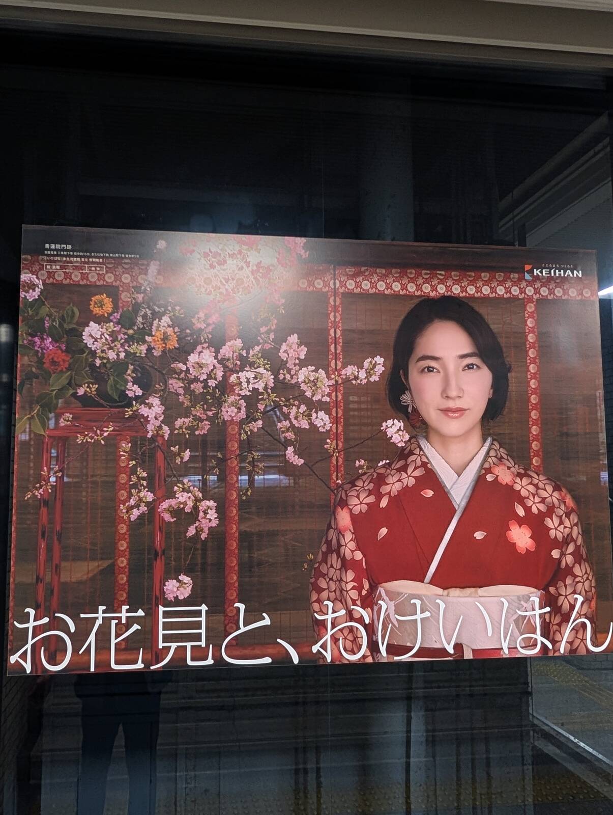 お花見と、おけいはん