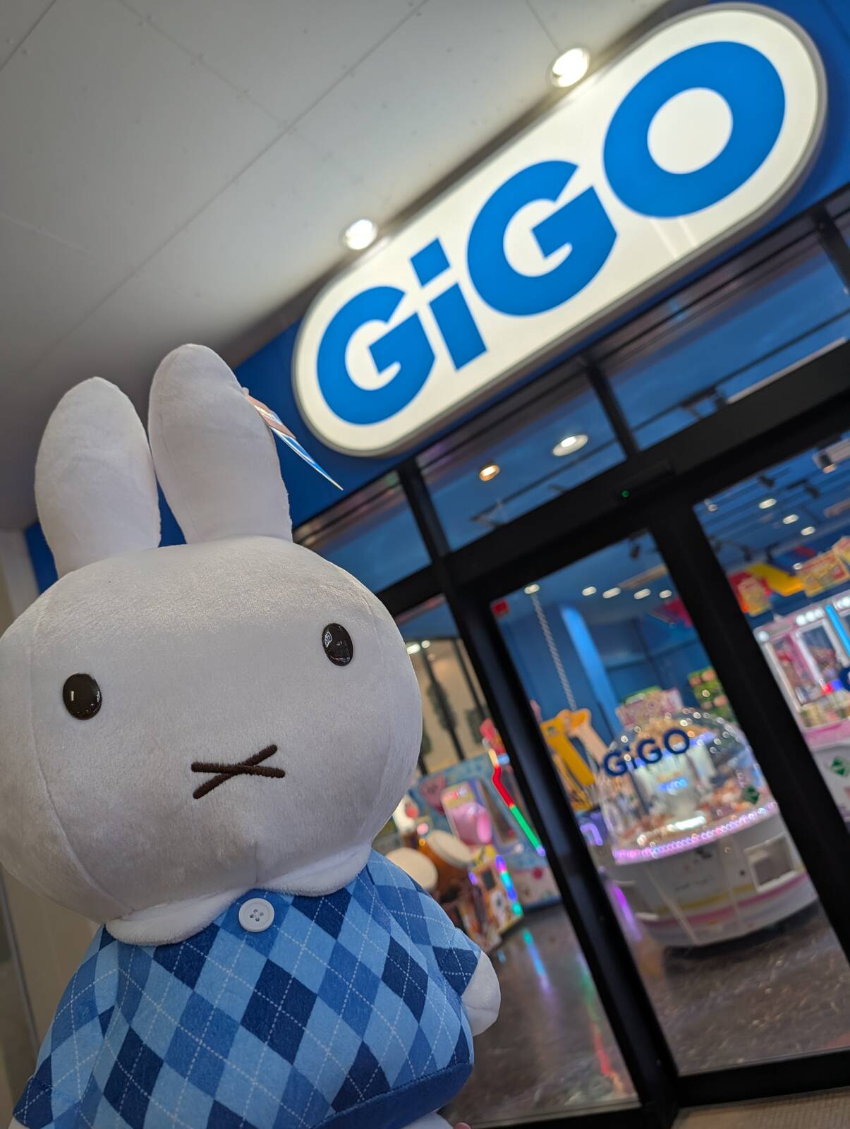 本日のミッフィー