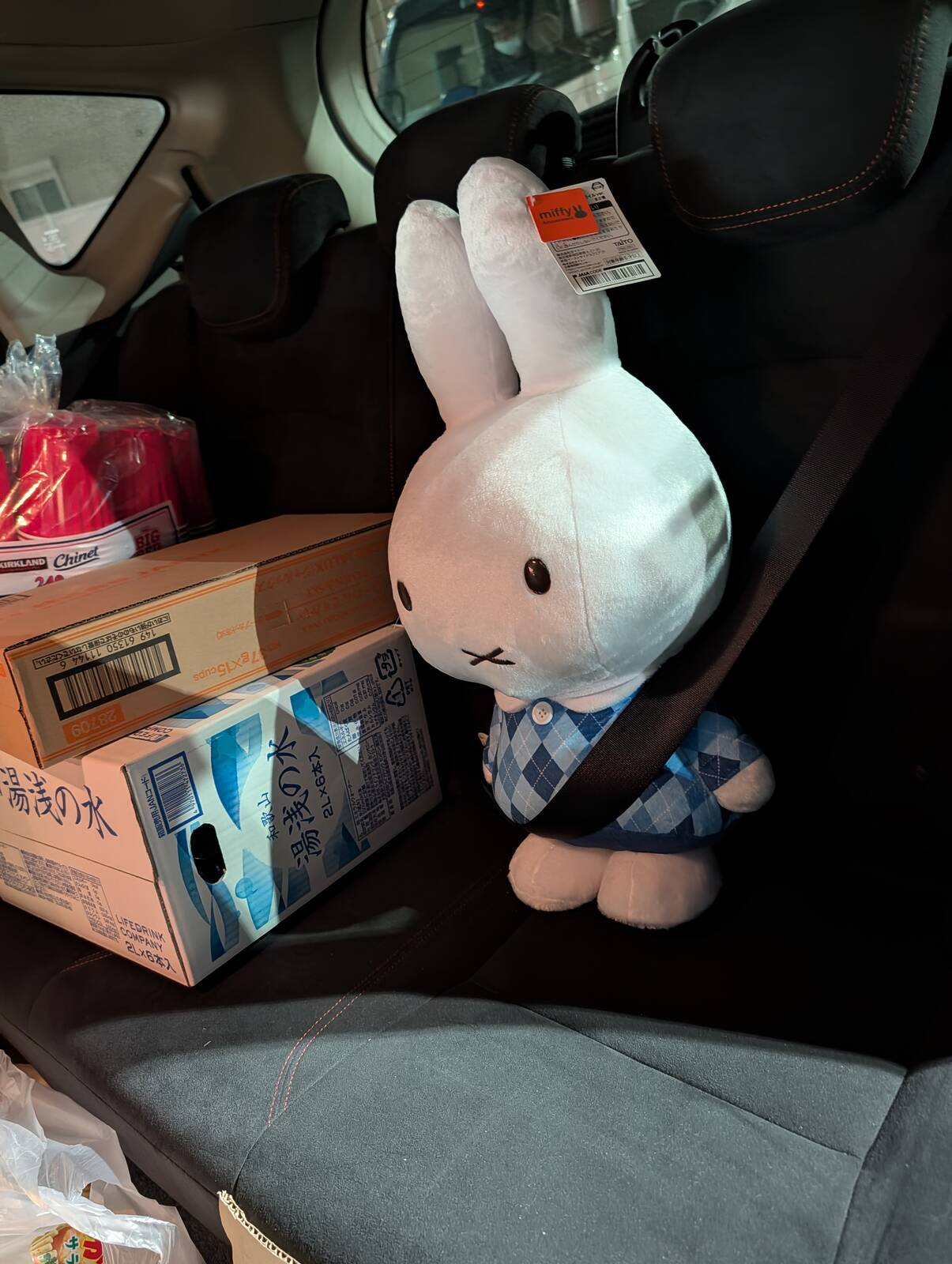 ぬいぐるみのサイズ