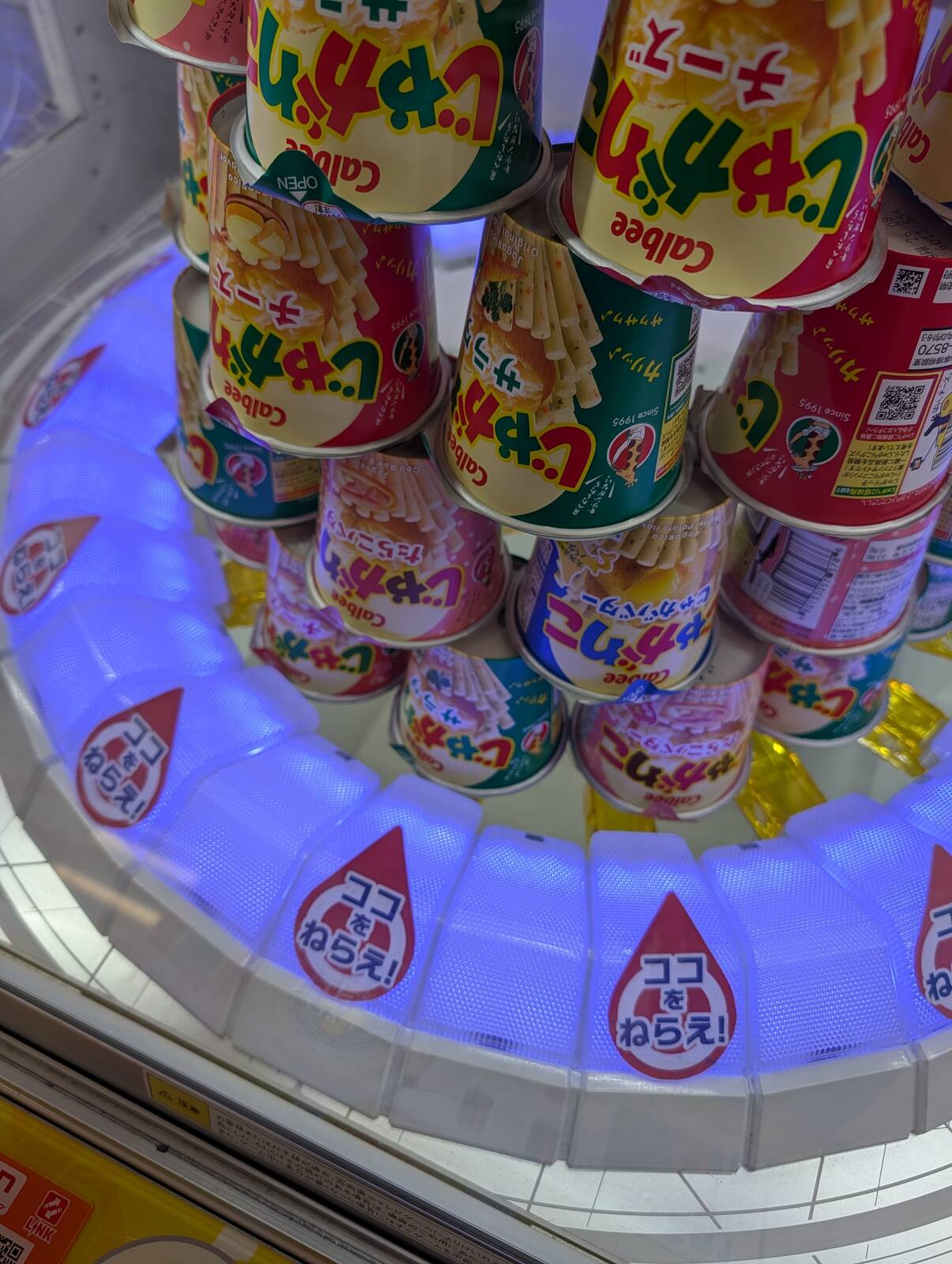 本日のアミューズメント